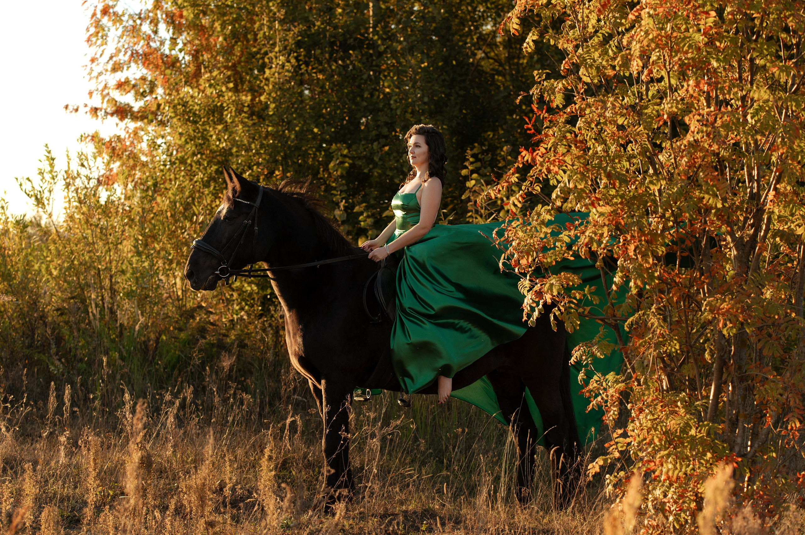 Фотосессии с лошадьми. Фотограф Евгения Соколова
