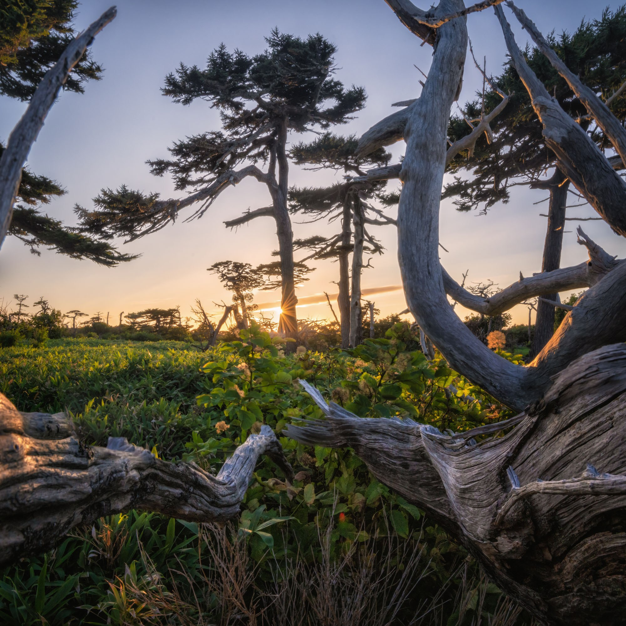 Фототур на Курилы на Итуруп 2025