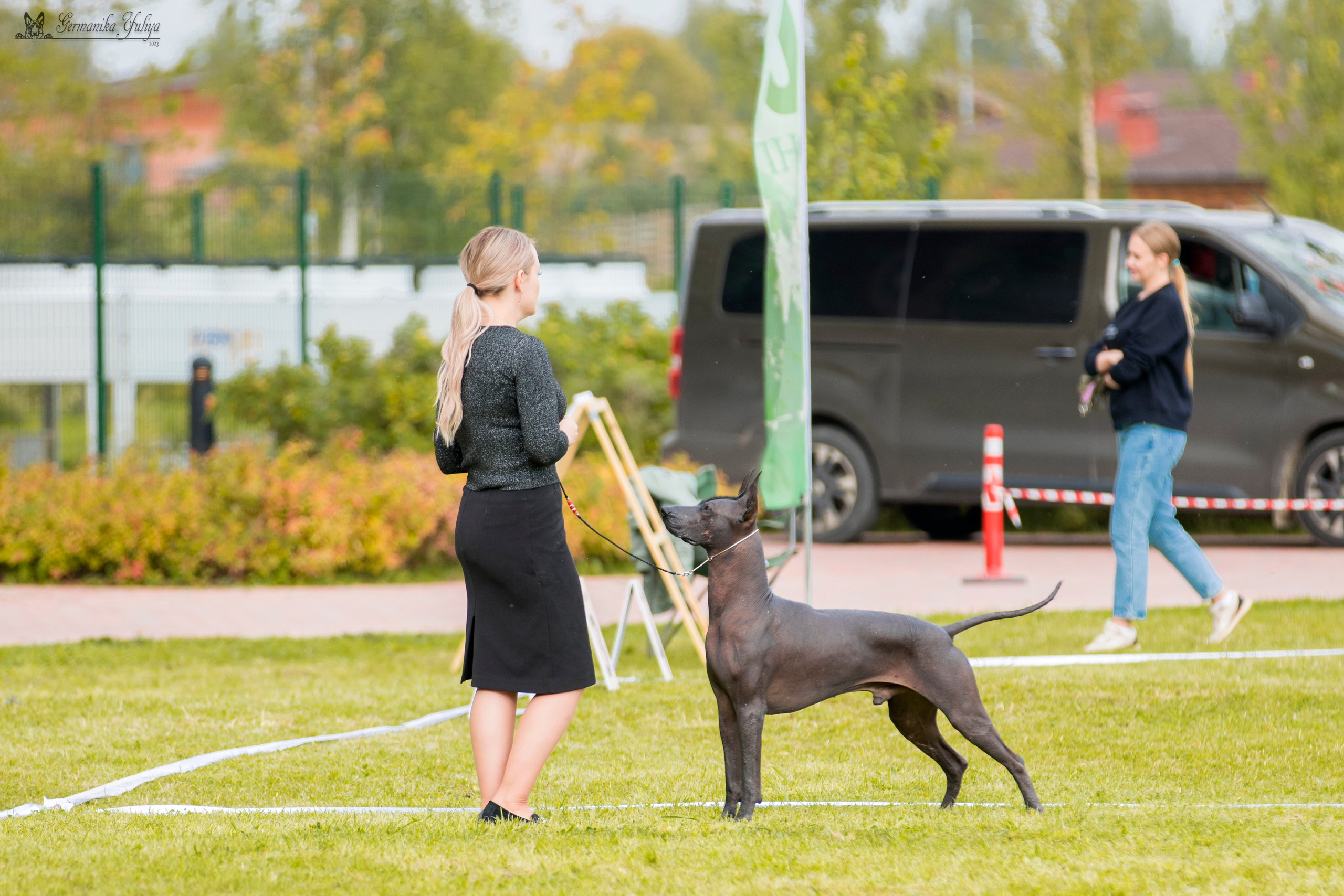 Переславль 9-10.09.2023. Фотограф-анималист Юлия Германика