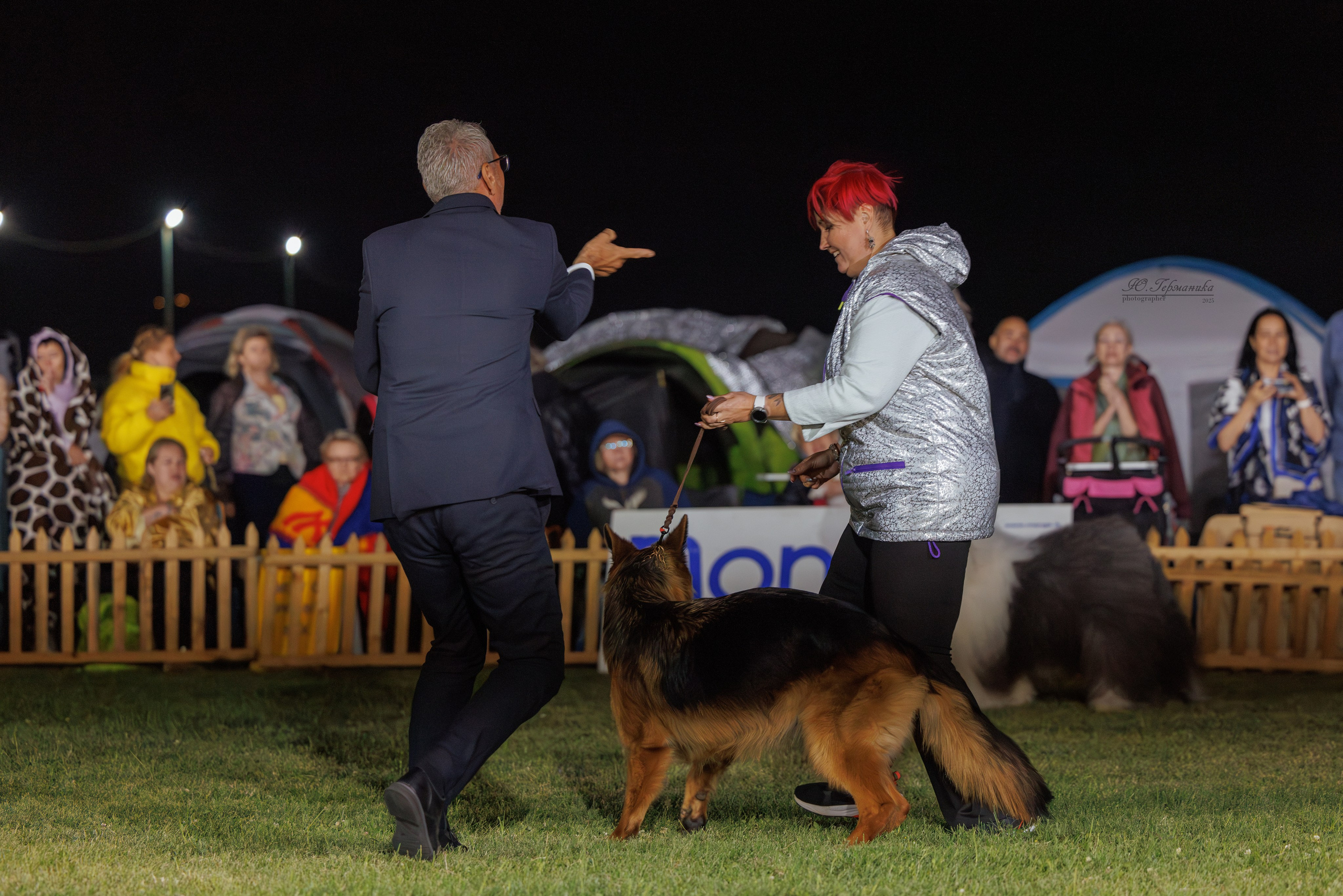 Ереван 3хCACIB 23-25.06.2025. Фотограф-анималист Юлия Германика
