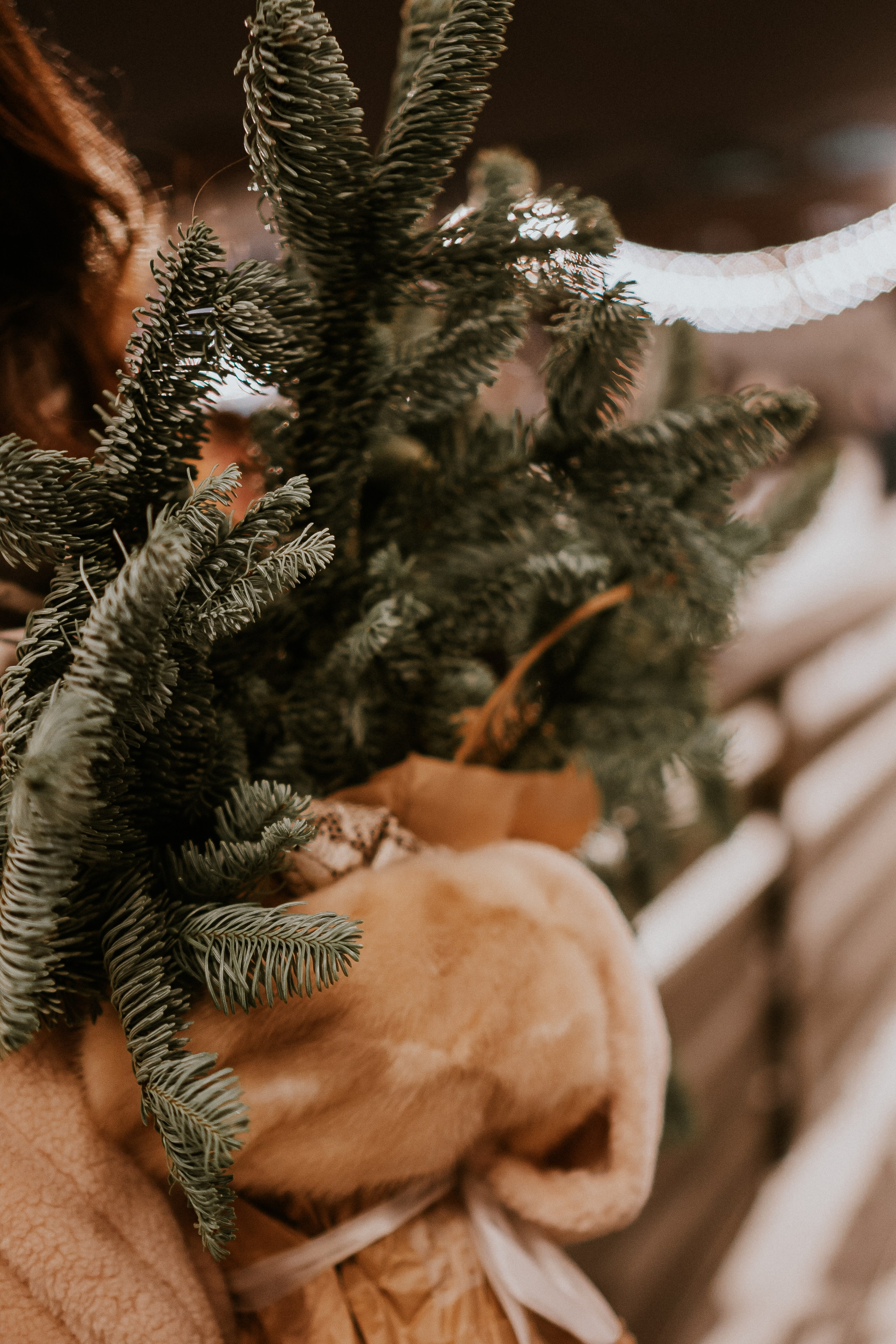 Зимняя сказка в Новой Голандии. Профессиональный фотограф, Санкт-Петербург — Виктория Богомолова