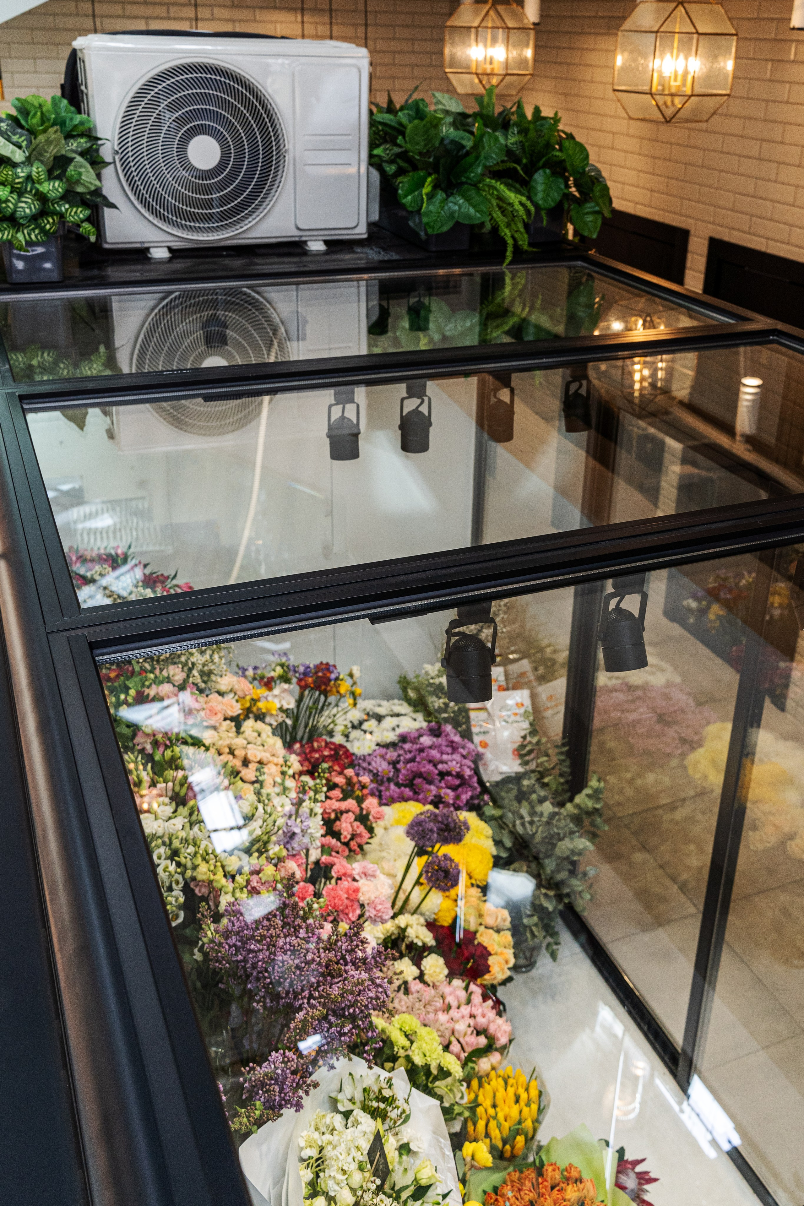 Регион холод. Елена Пашкевич, фотограф, Москва