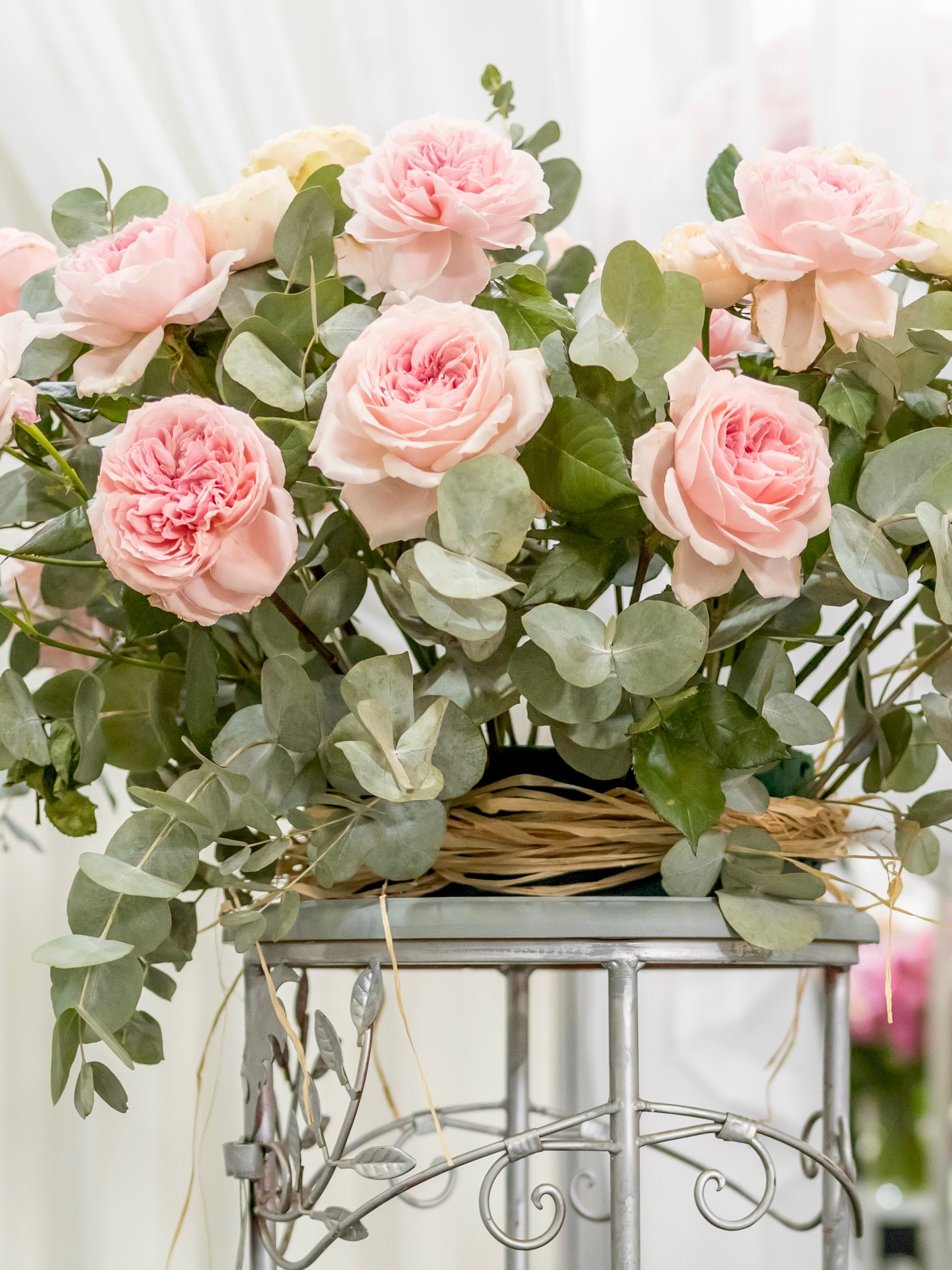 Цветы-Экспо 2024. Фотосессии и репортаж — Фотограф в Москве — Рина Серёгина