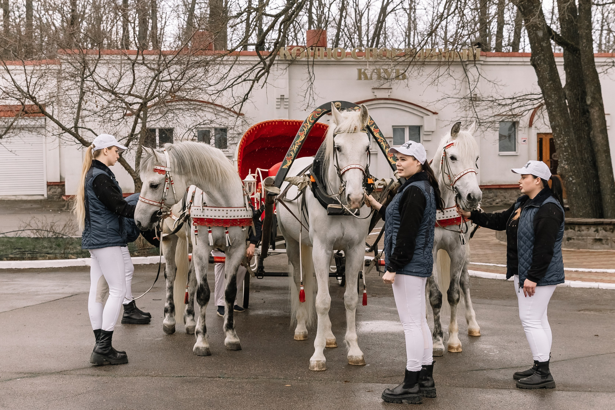 День Орловского рысака. Парк-отель Яр. Свадебный, репортажный фотограф Ирина Шкурина