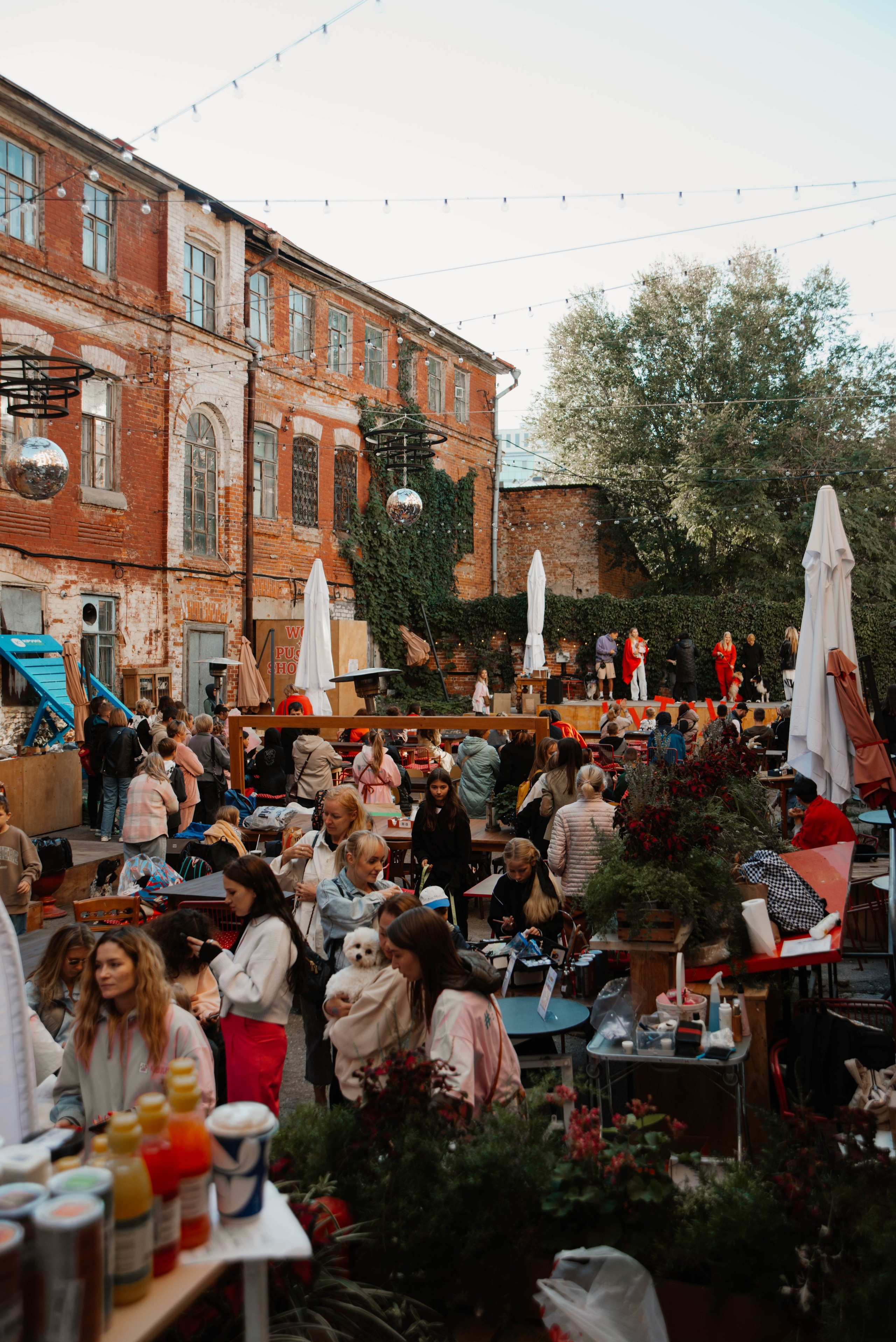 Дог-вечеринка на летнике «Кутёж». Ксения Glossa. Портретный и репортажный фотограф в Самаре