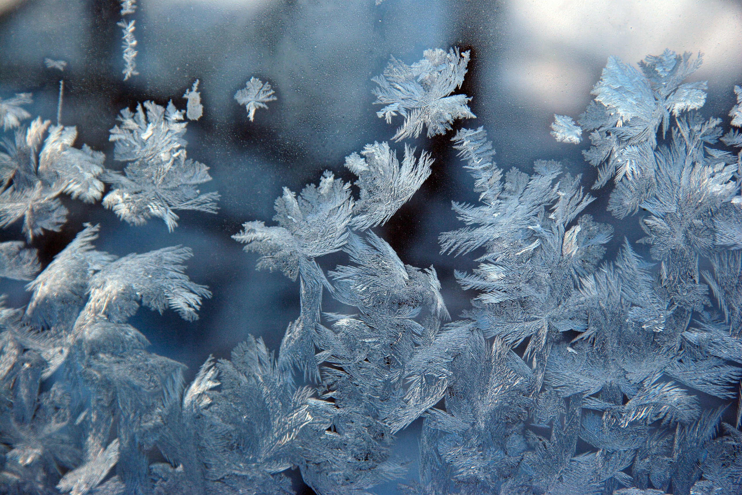 Зима. Пейзажи Крайнего Севера. Баренцево море, Рыбачий, Средний, Немецкий