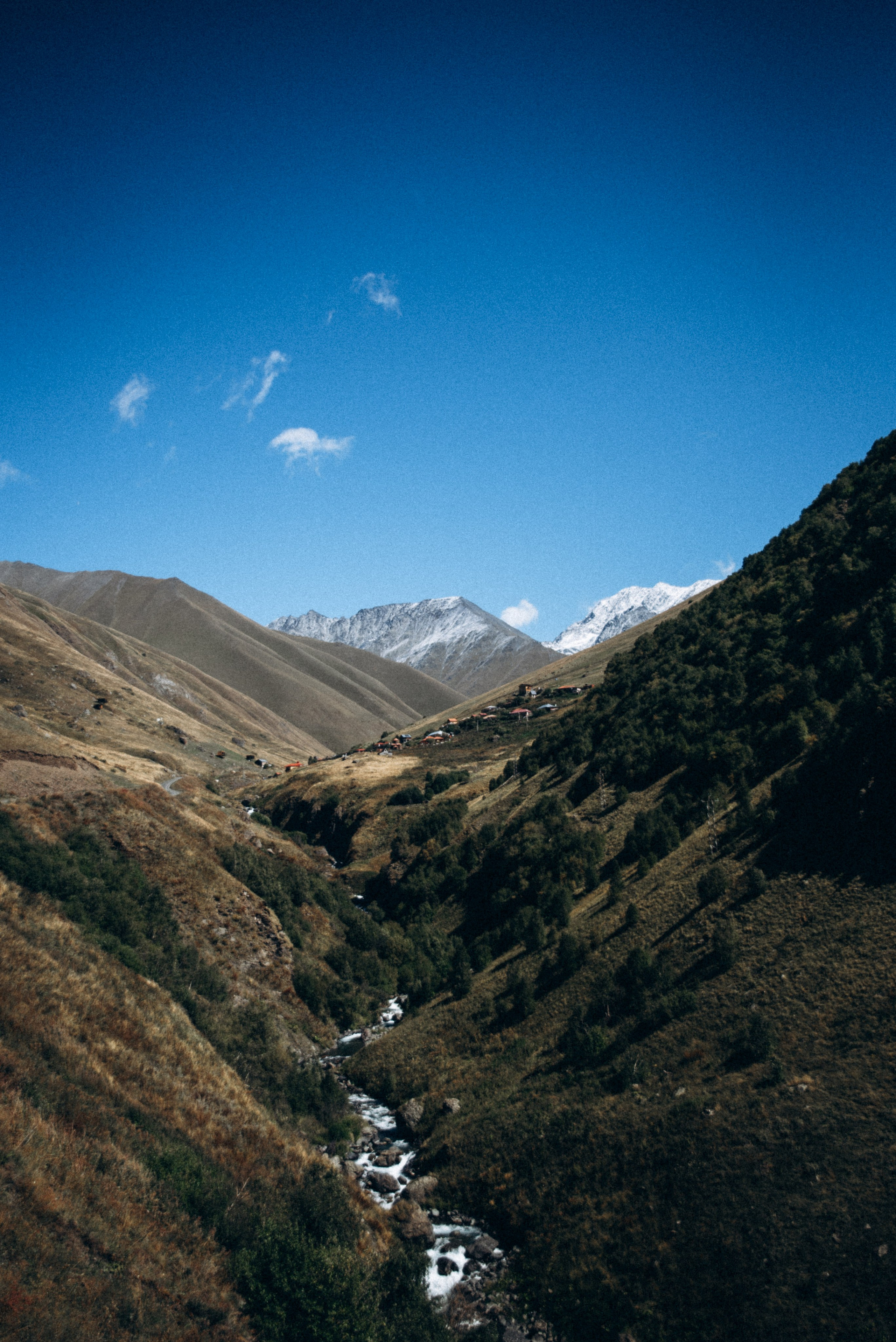 Джута, Грузия 🇬🇪 «Honey Trip». Anita_photo