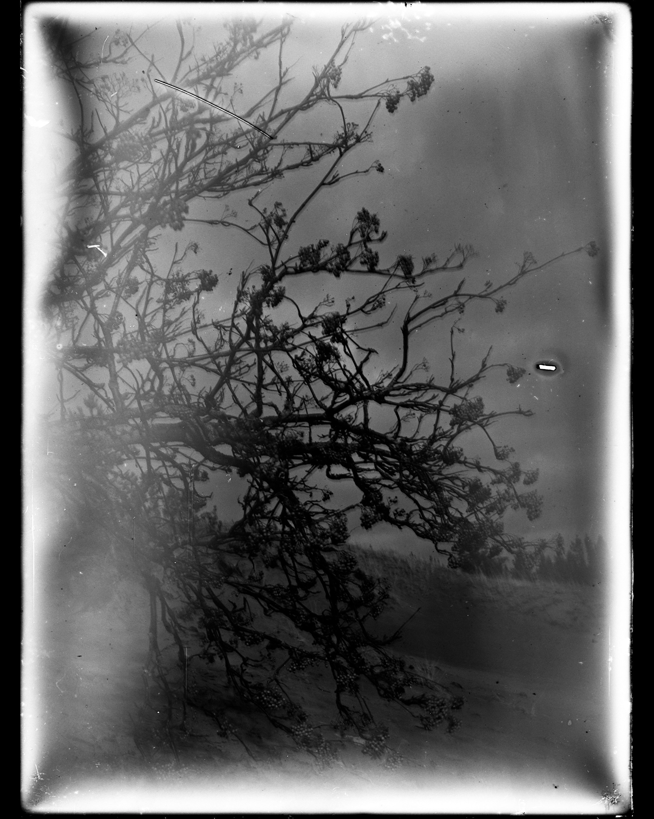 Glass plates. Darkroom aesthetics
