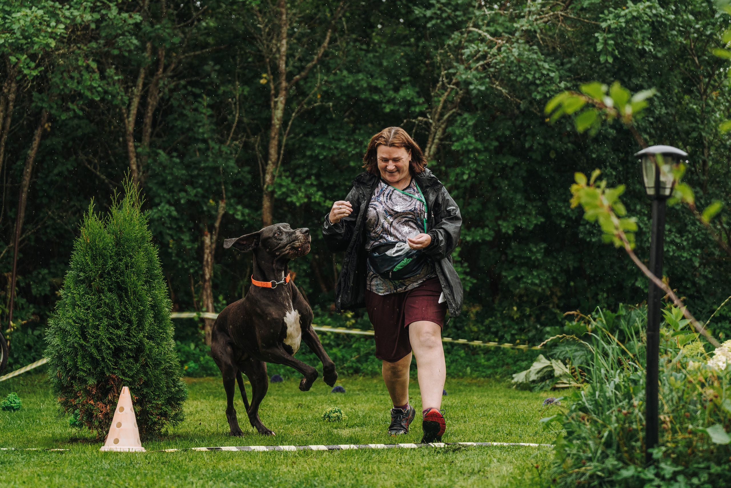 Соревнования по ноузворку в Новожилово. Фотограф анималист в Спб недорого Олеся Майорова