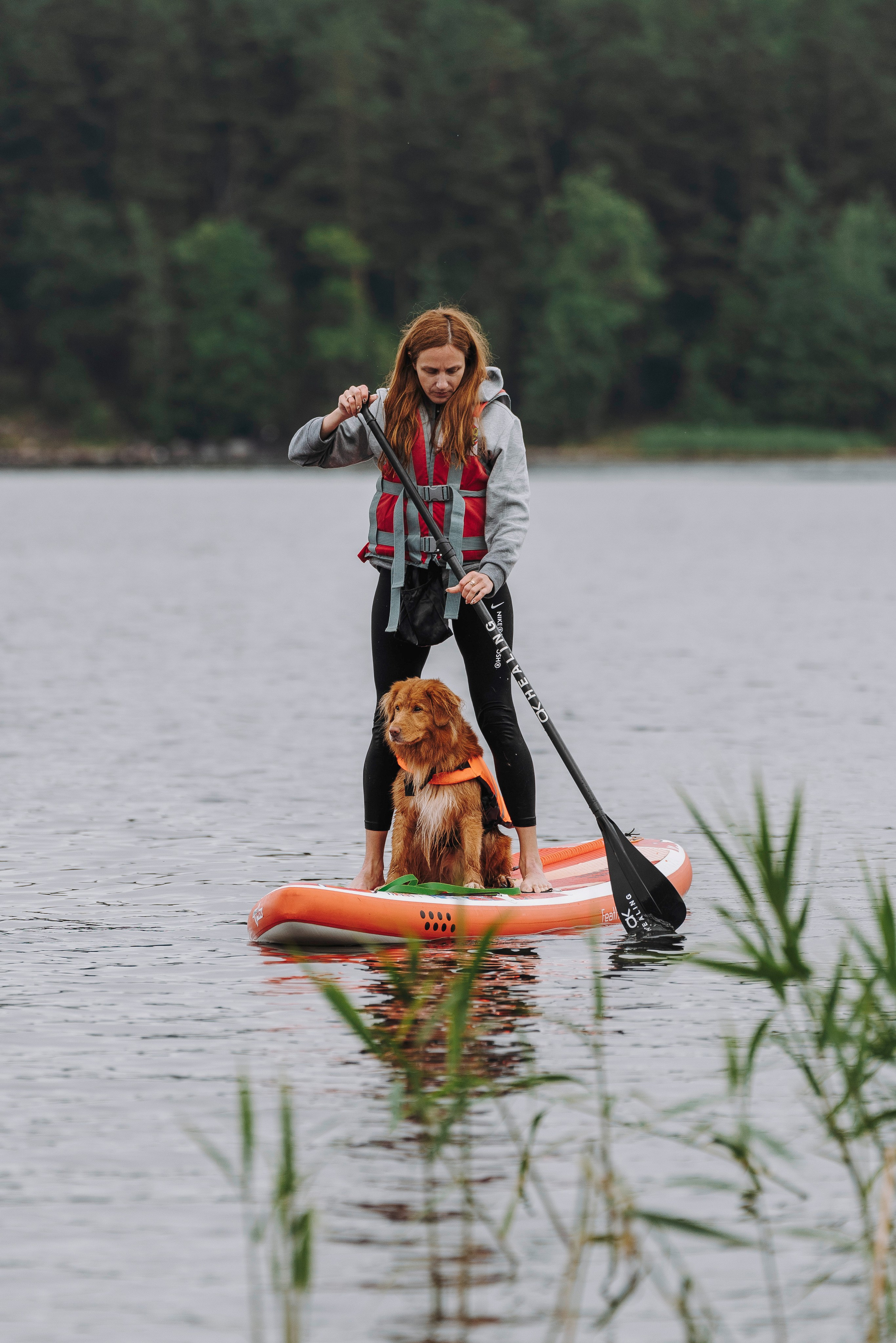 Катание на сапах с собаками. Фотограф анималист в Спб недорого Олеся Майорова