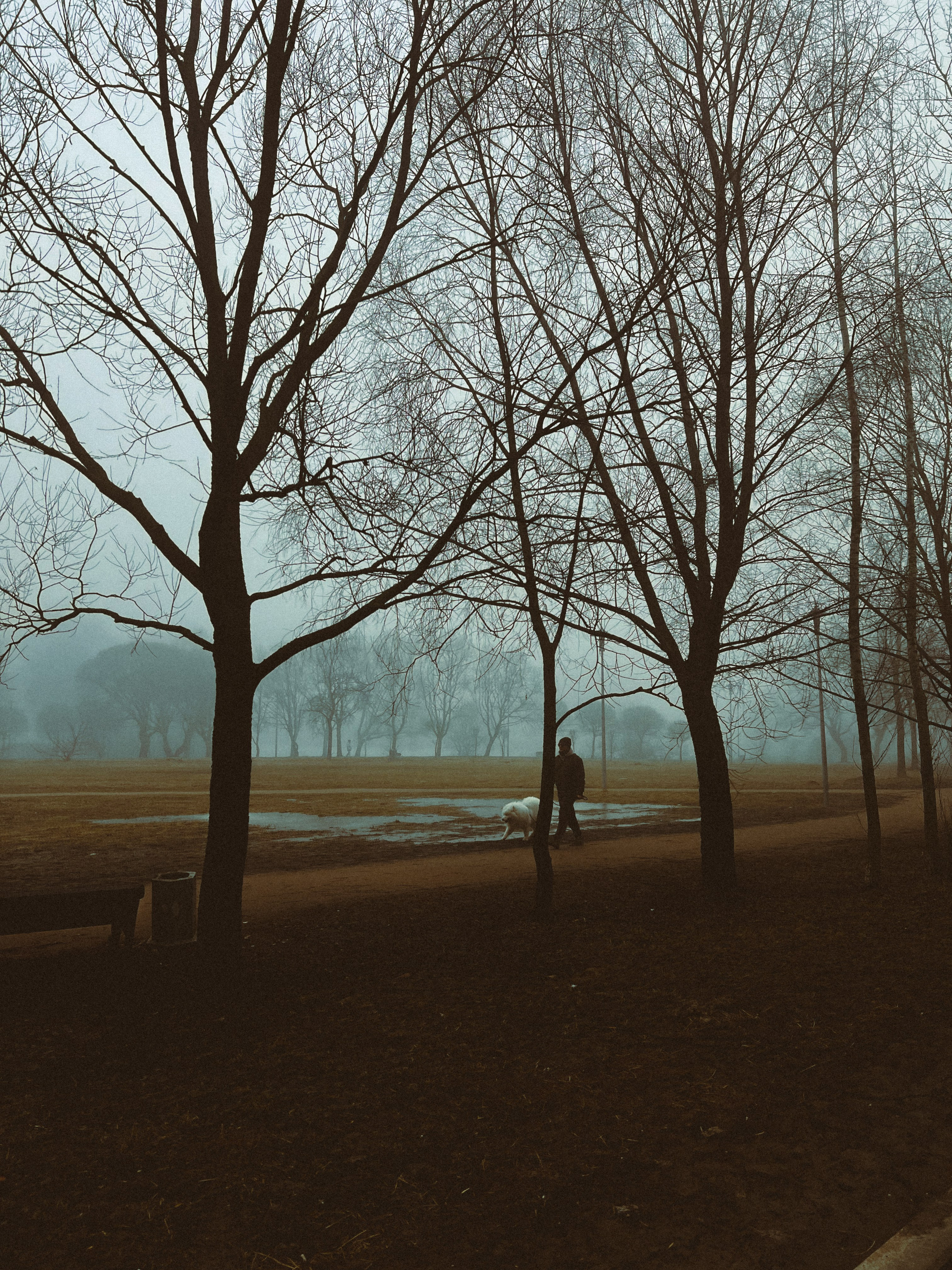 Все пресеты LR | Эффект плёнки. Кинематографичный фотограф, видеограф Лина Плешакова, Санкт-Петербург