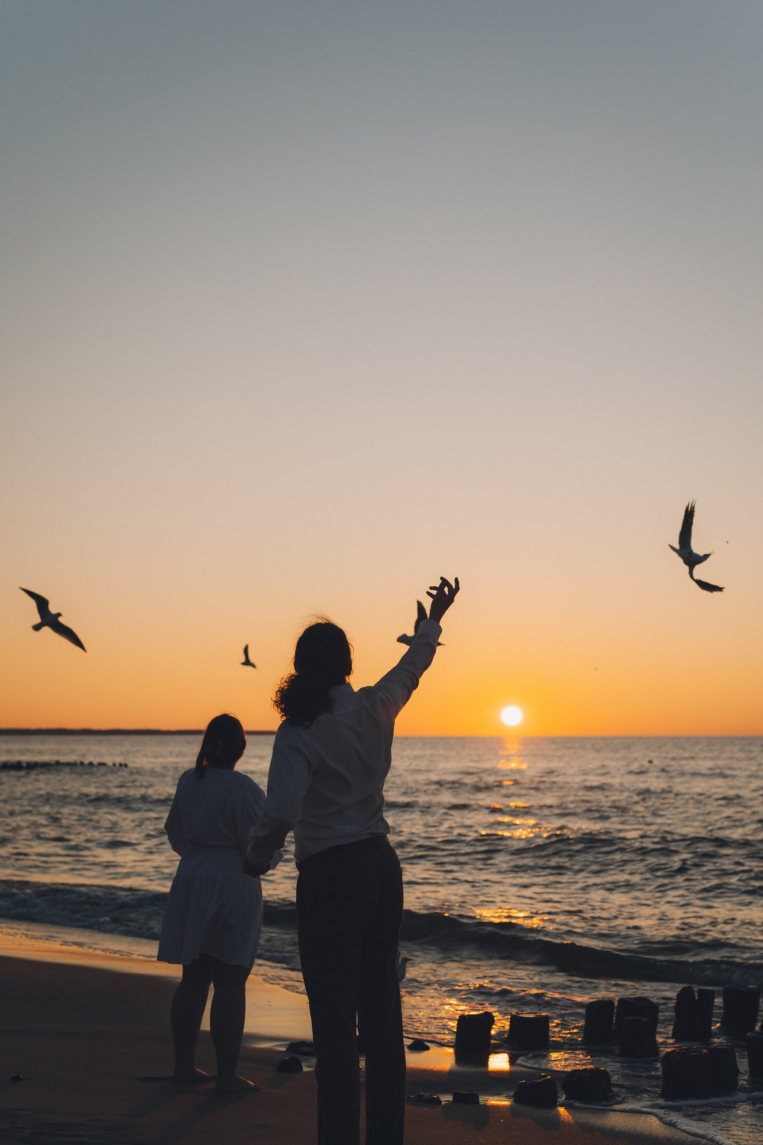 Дарья и Александр. Фотограф Зеленоградск Красильникова Елена