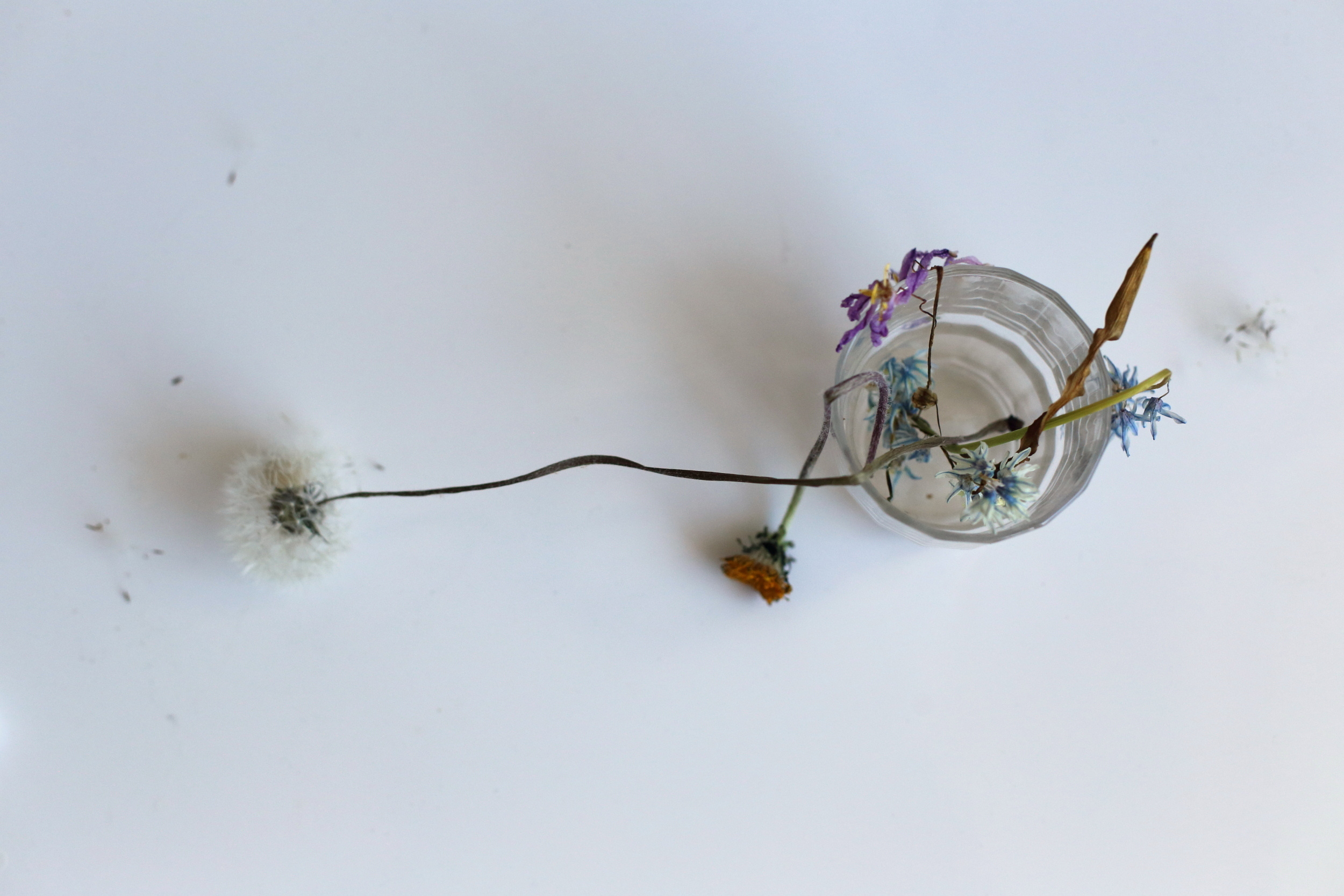 #stayathome. Екатерина Васильева художник, куратор и преподаватель