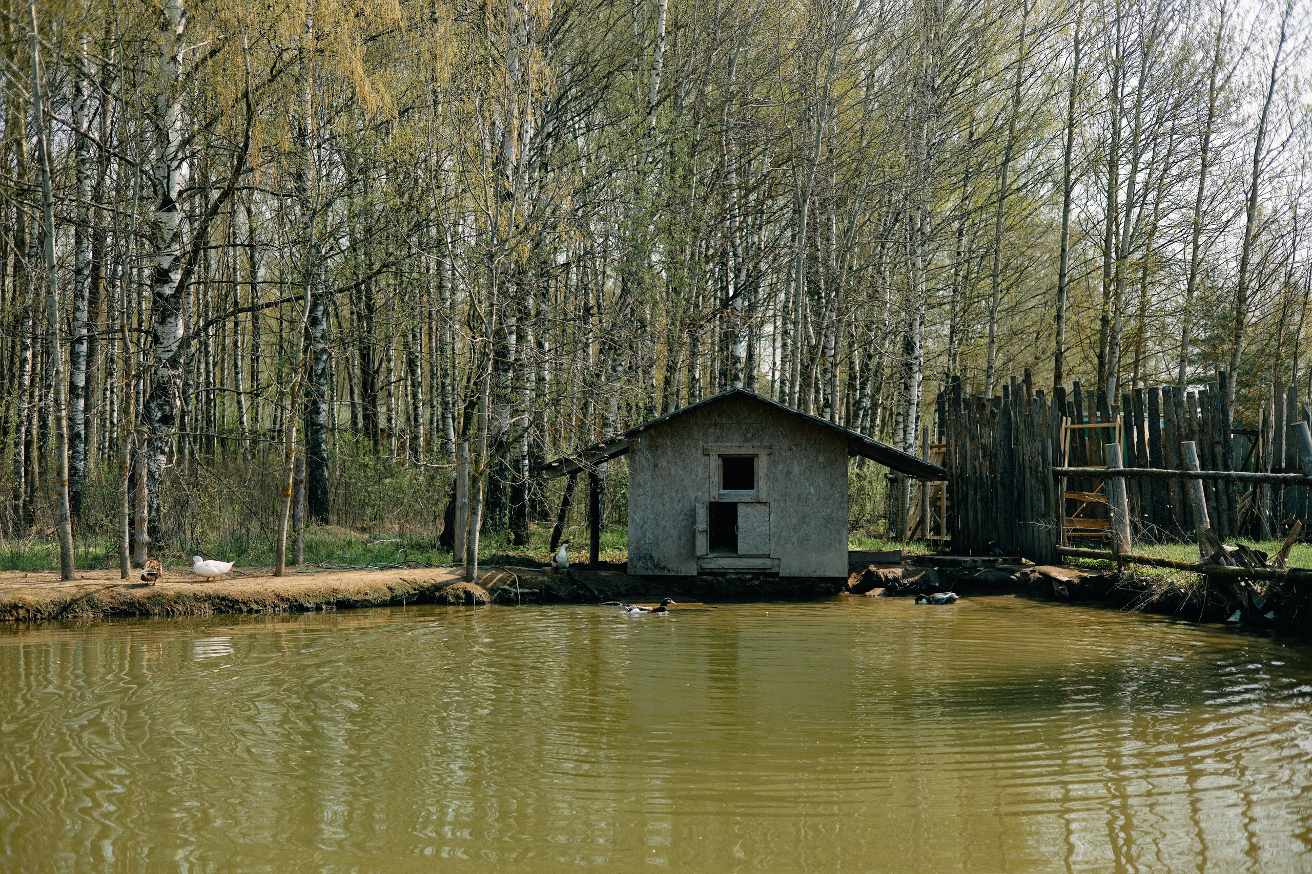 Бутик-отель Поле летом. Профессиональный Фотограф во Владимире, в Москве и в Суздале — Полина Романычева