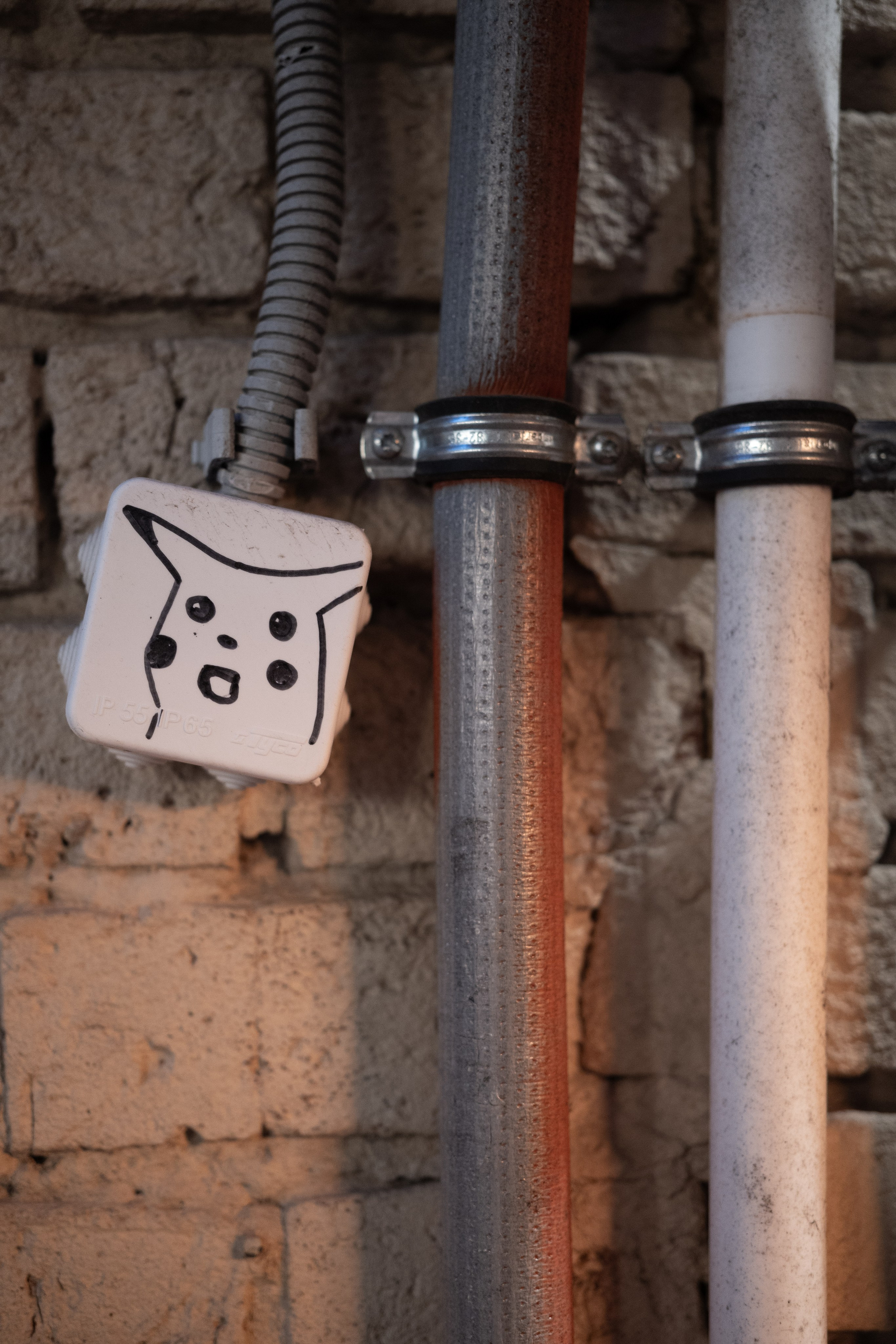 20241201 от Чеховской до Арбатской. Дмитрий Ремизов. Фотография, как хобби