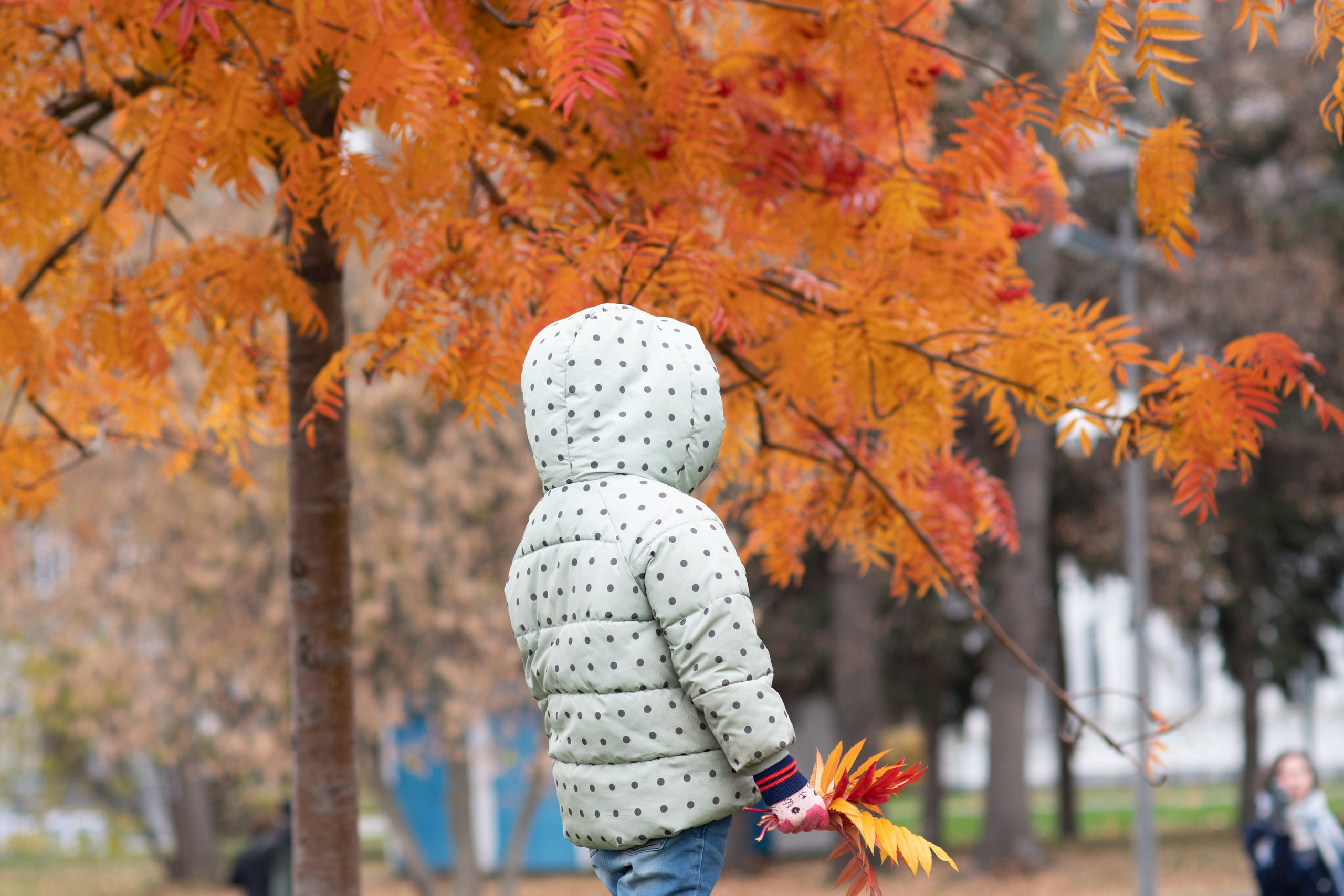 20211017 Музеон. Дмитрий Ремизов. Фотография, как хобби