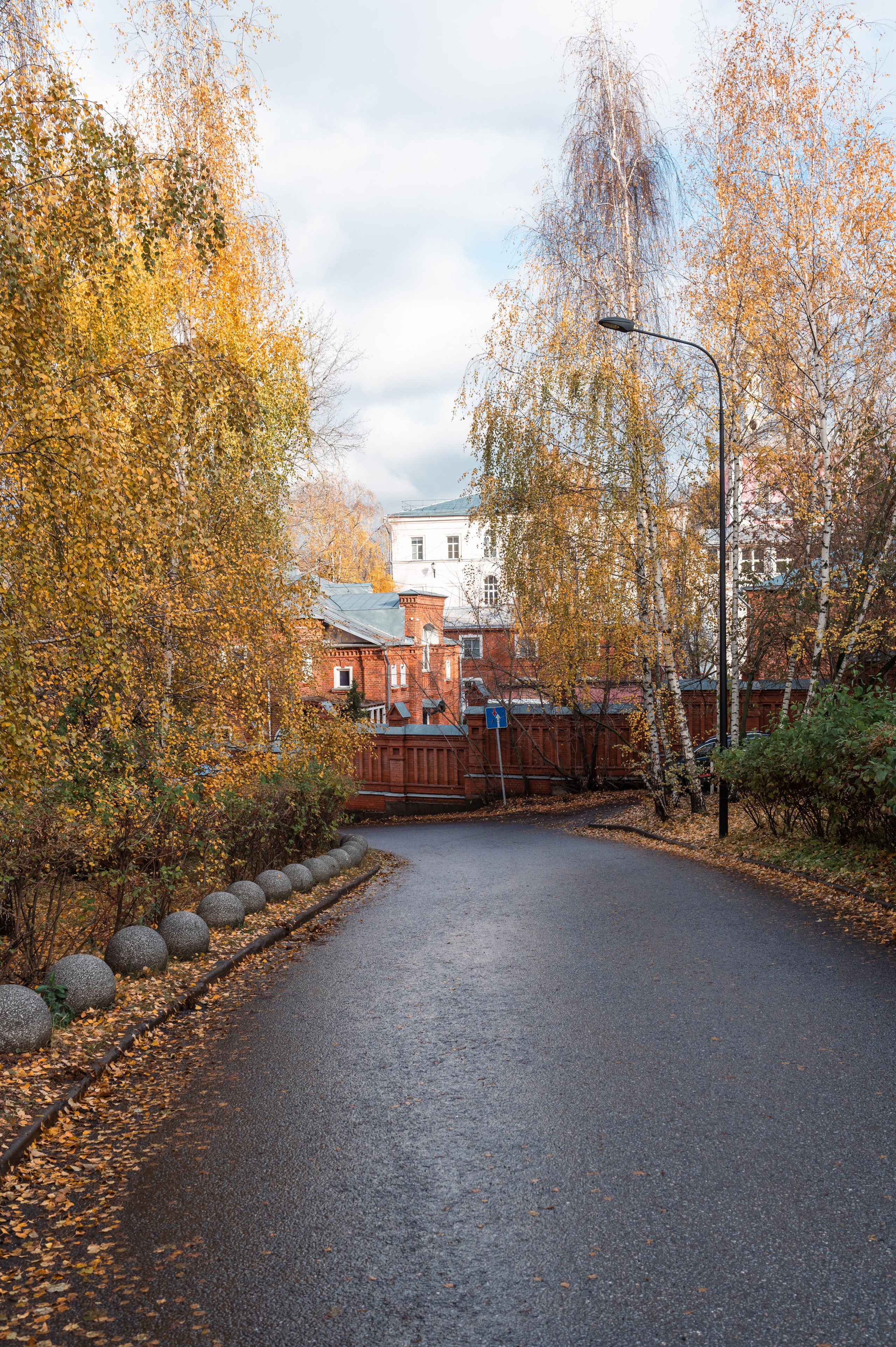 20231031 Нескучный сад. Дмитрий Ремизов. Фотография, как хобби