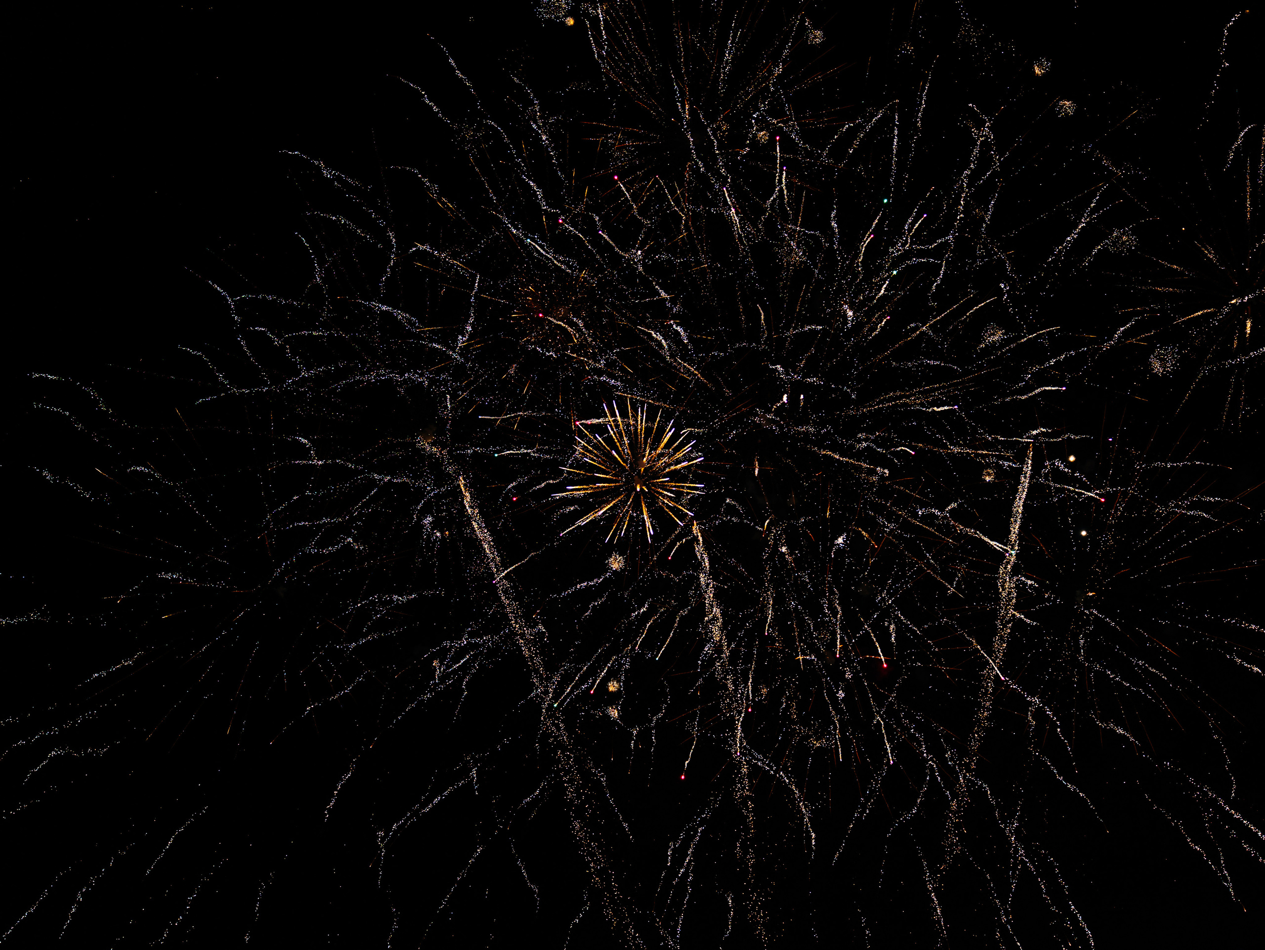 Свадебный фотограф и видеограф в Тольятти, Самаре и Москве — Арзу Магеррамов