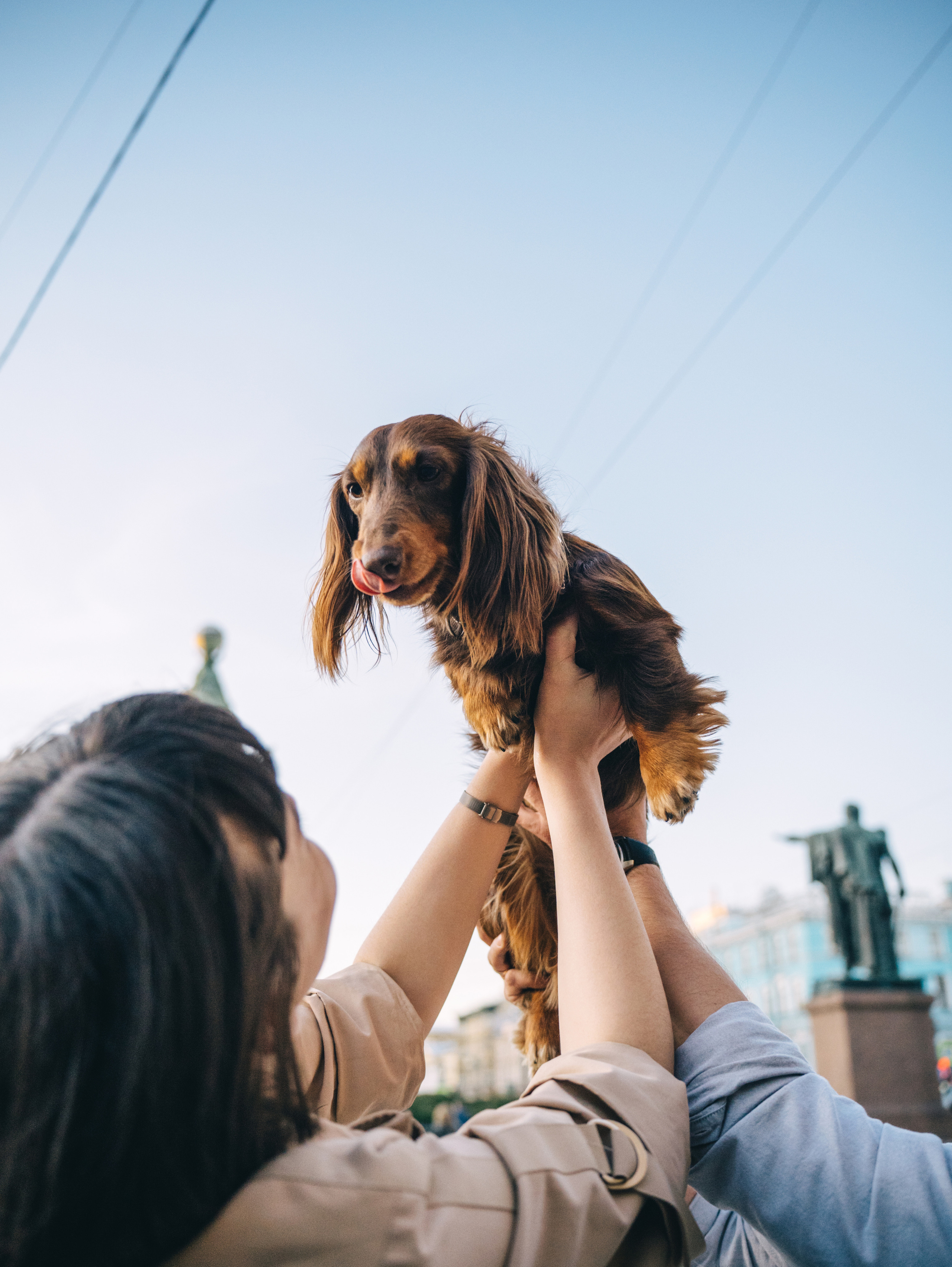 Свадебный фотограф и видеограф в Тольятти, Самаре и Москве — Арзу Магеррамов