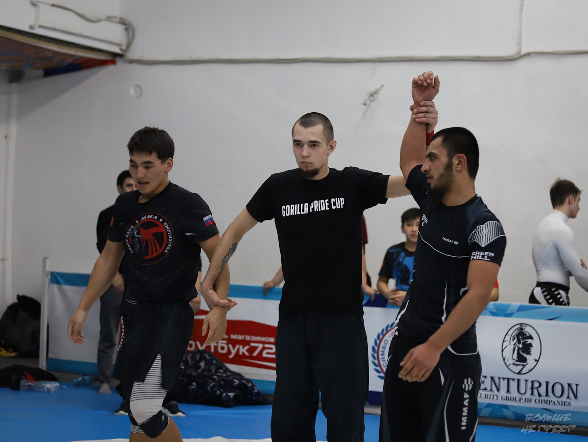 GORILLA PRIDE CUP. Больше не греет