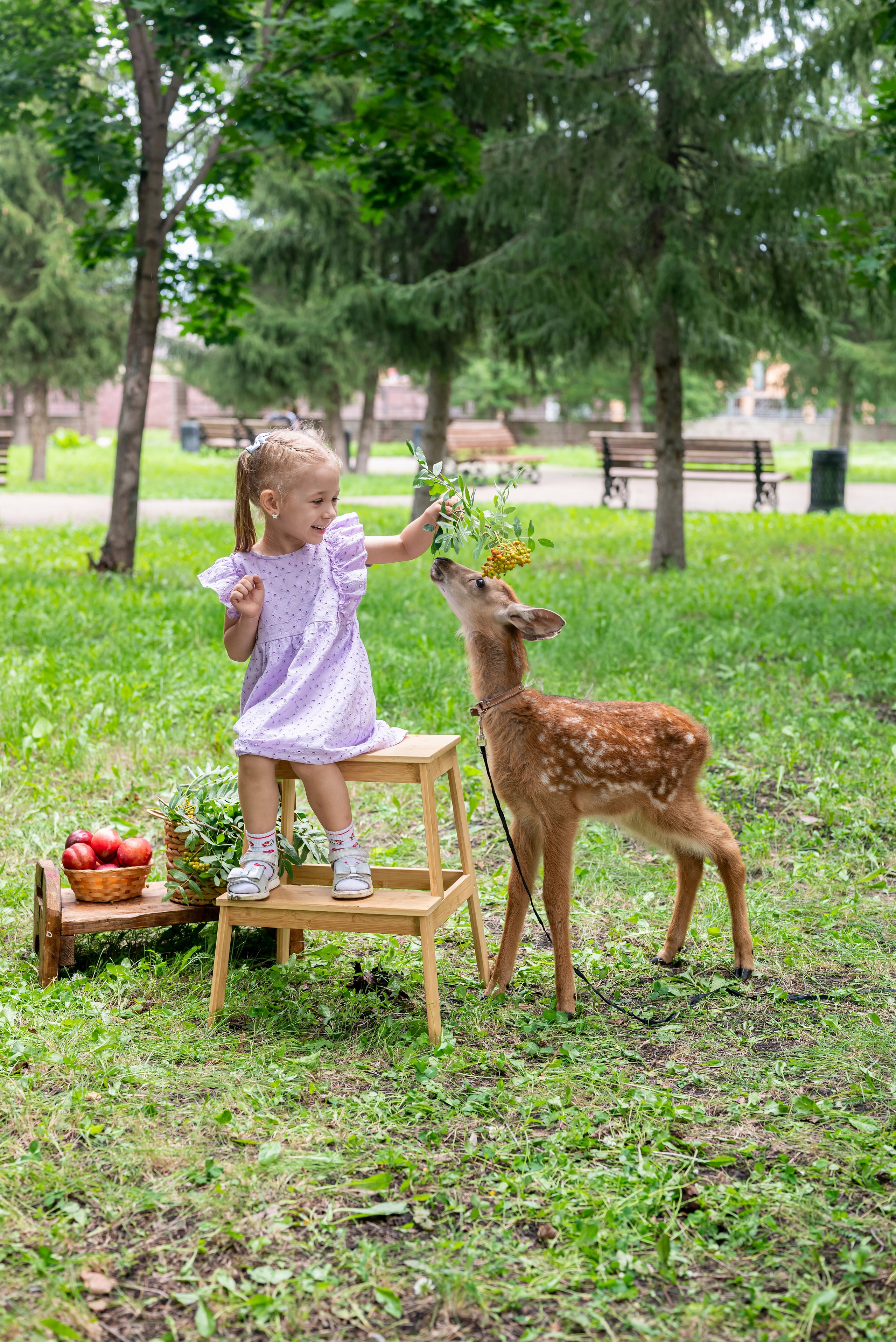 Фотопроект *Оленёнок Бэмби*. Фотограф в городе Салават