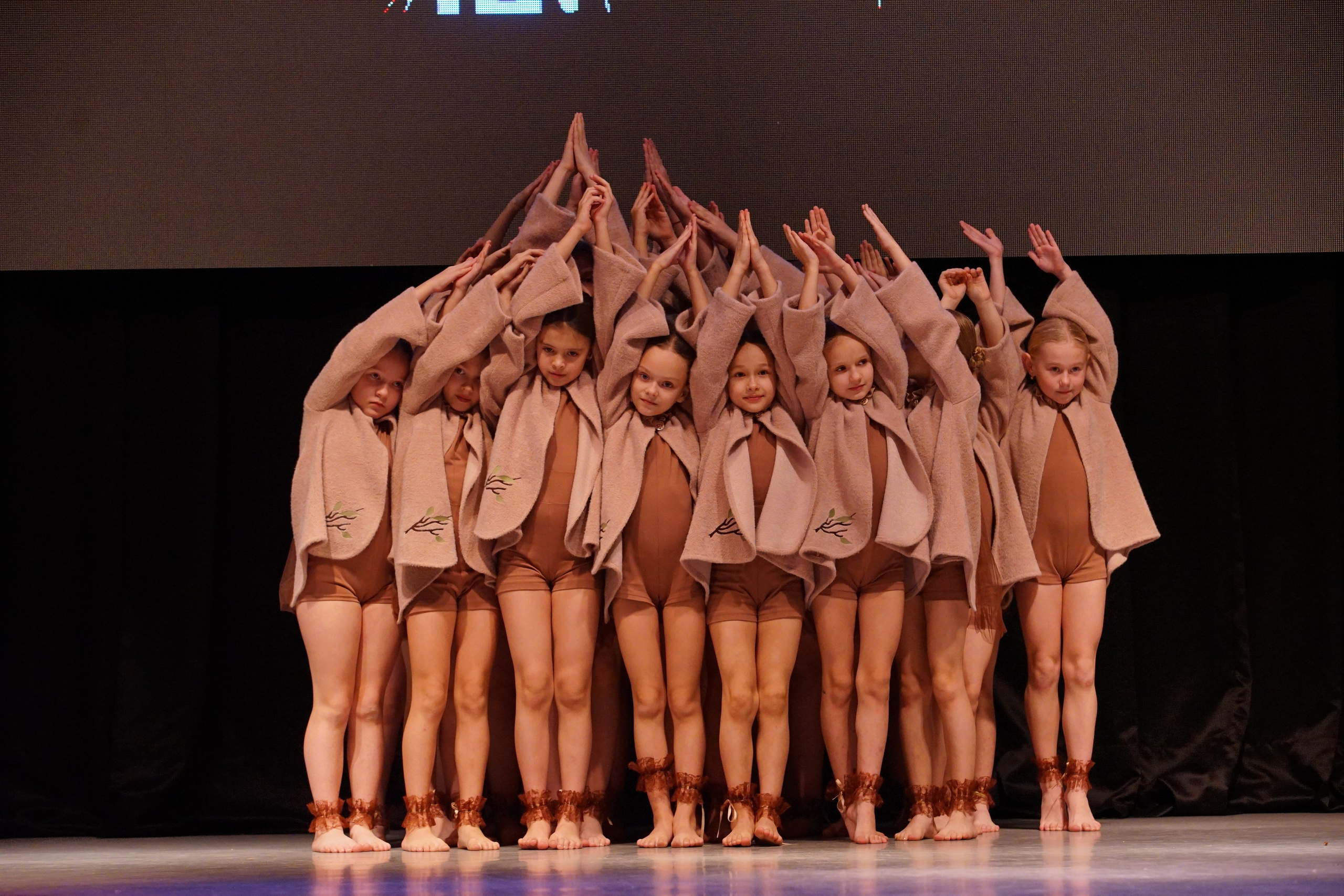 17 ноября, г. Новосибирск. Золотое яблочко