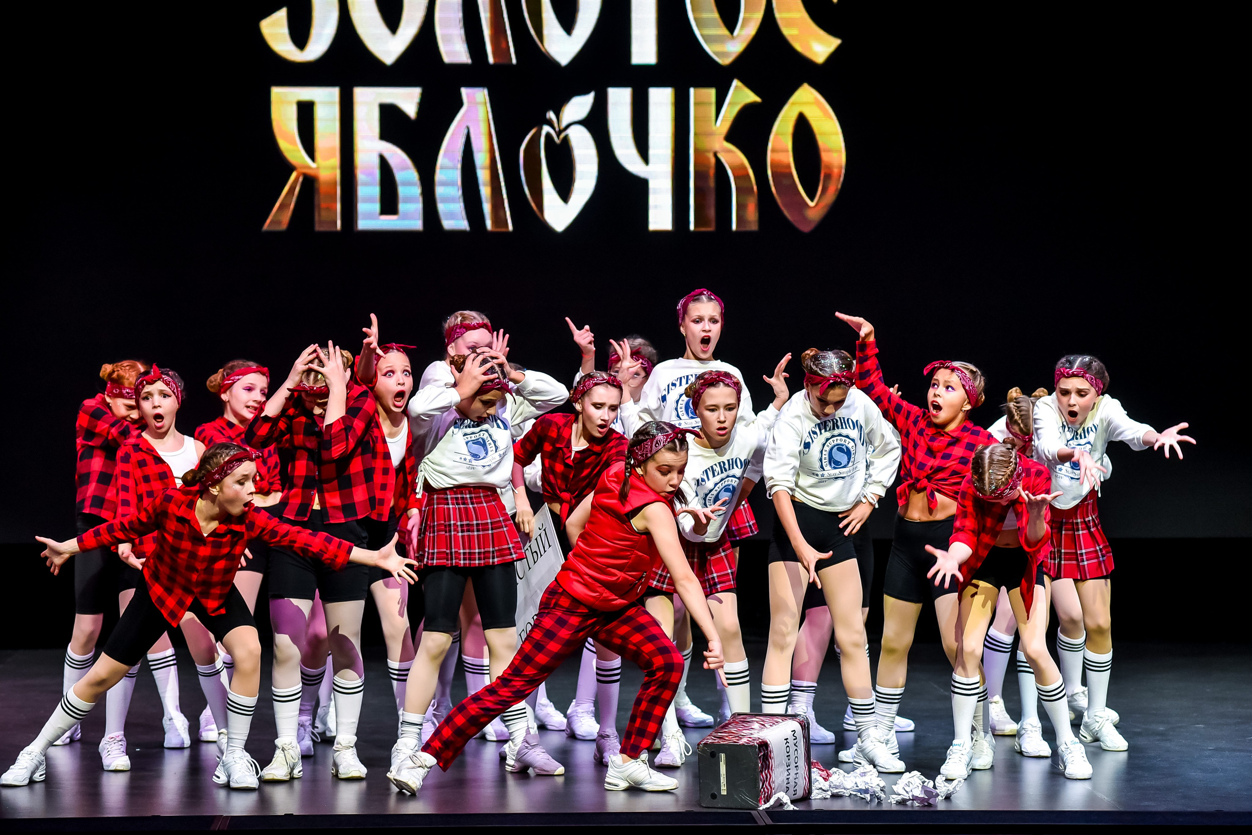 3 ноября, г. Казань. Золотое яблочко