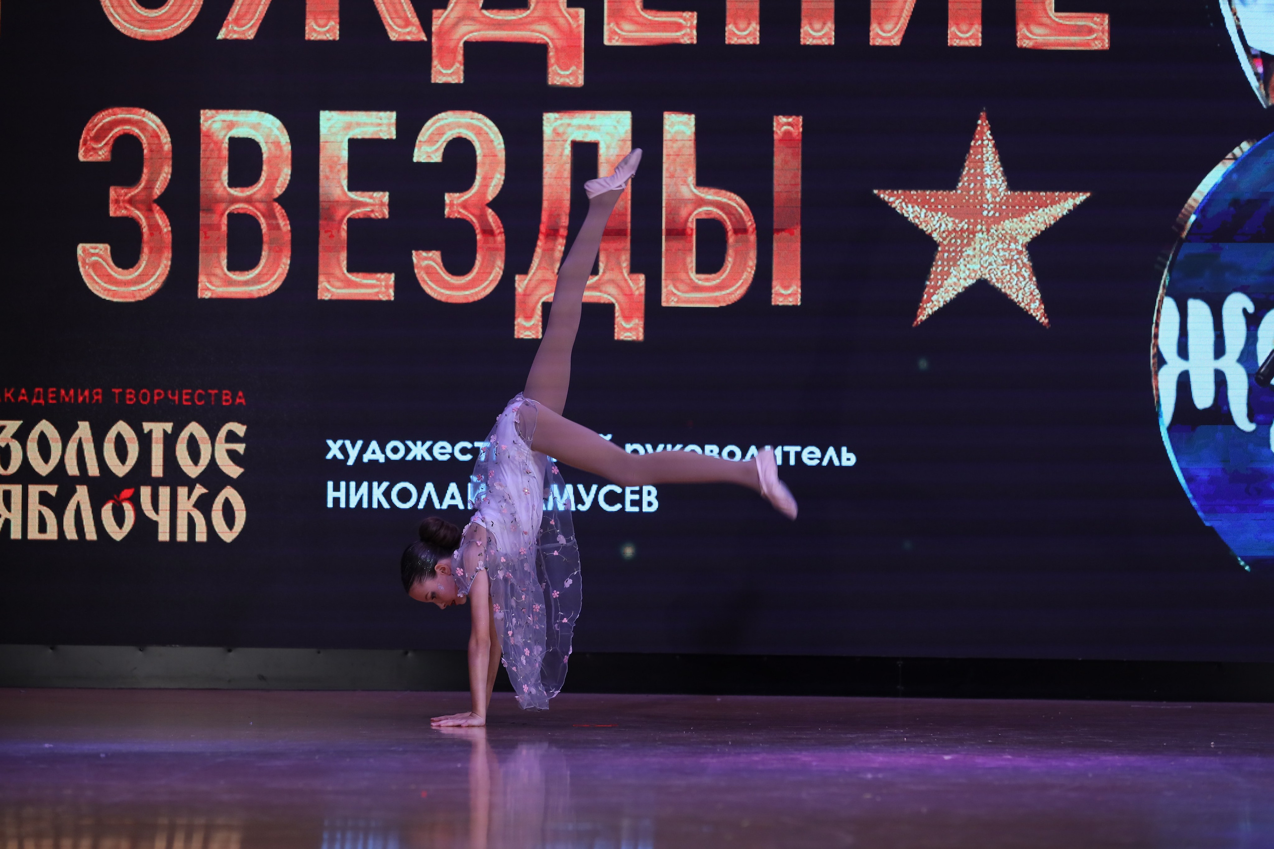 4 ноября, блок 1, видео, номера 59-, г. Краснодар. Золотое яблочко