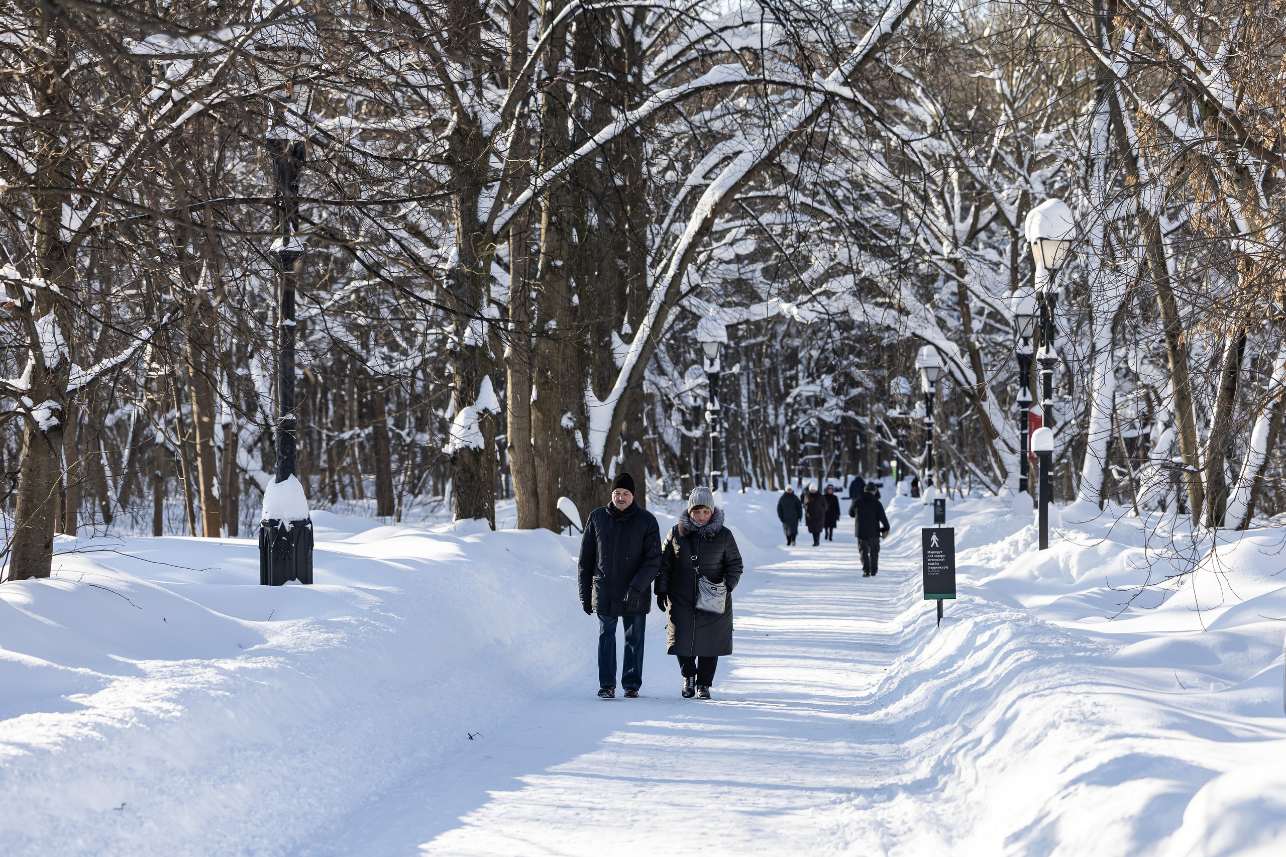 Природа. Фотограф Владимир Охрименко