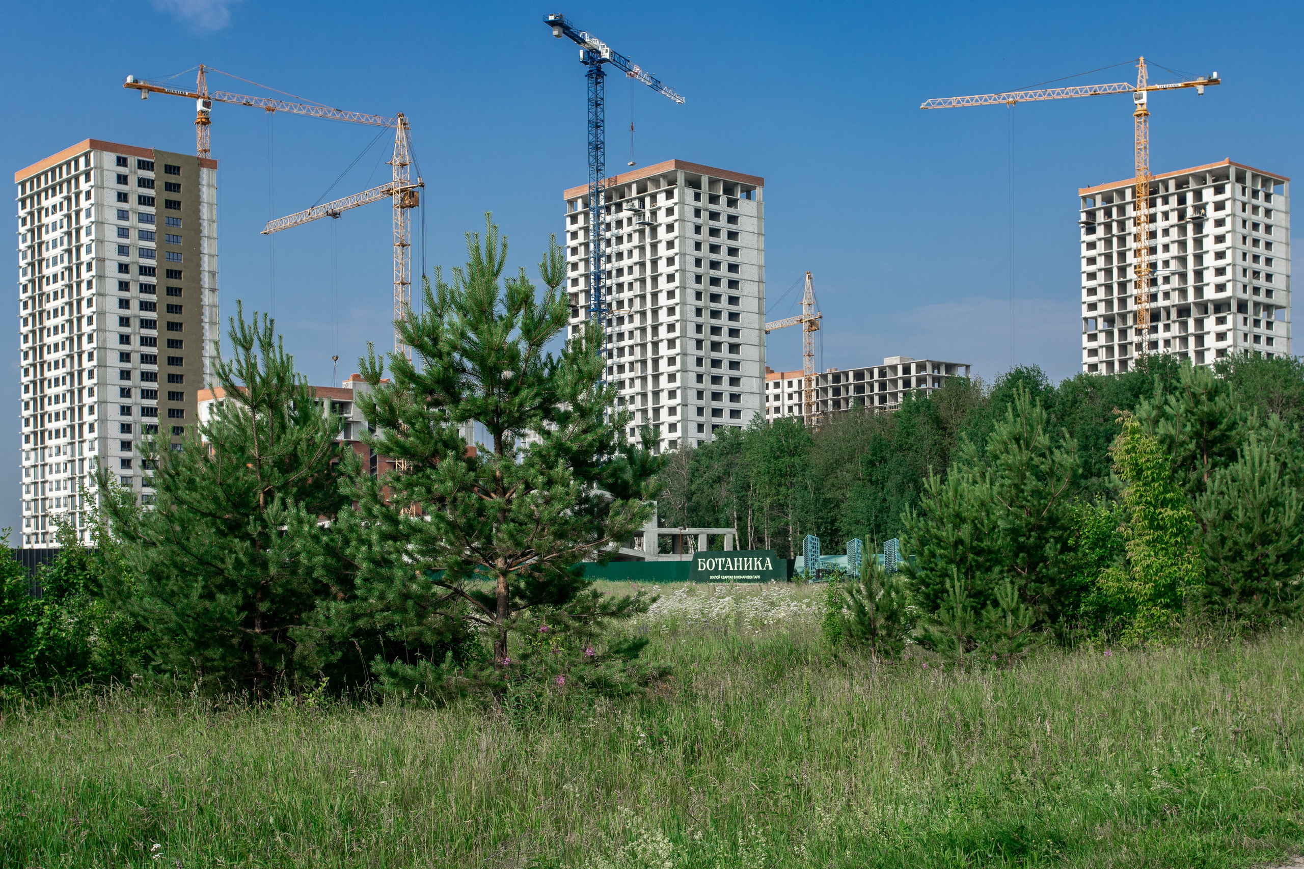МКД. Фотограф Тюмень Александр Долгих
