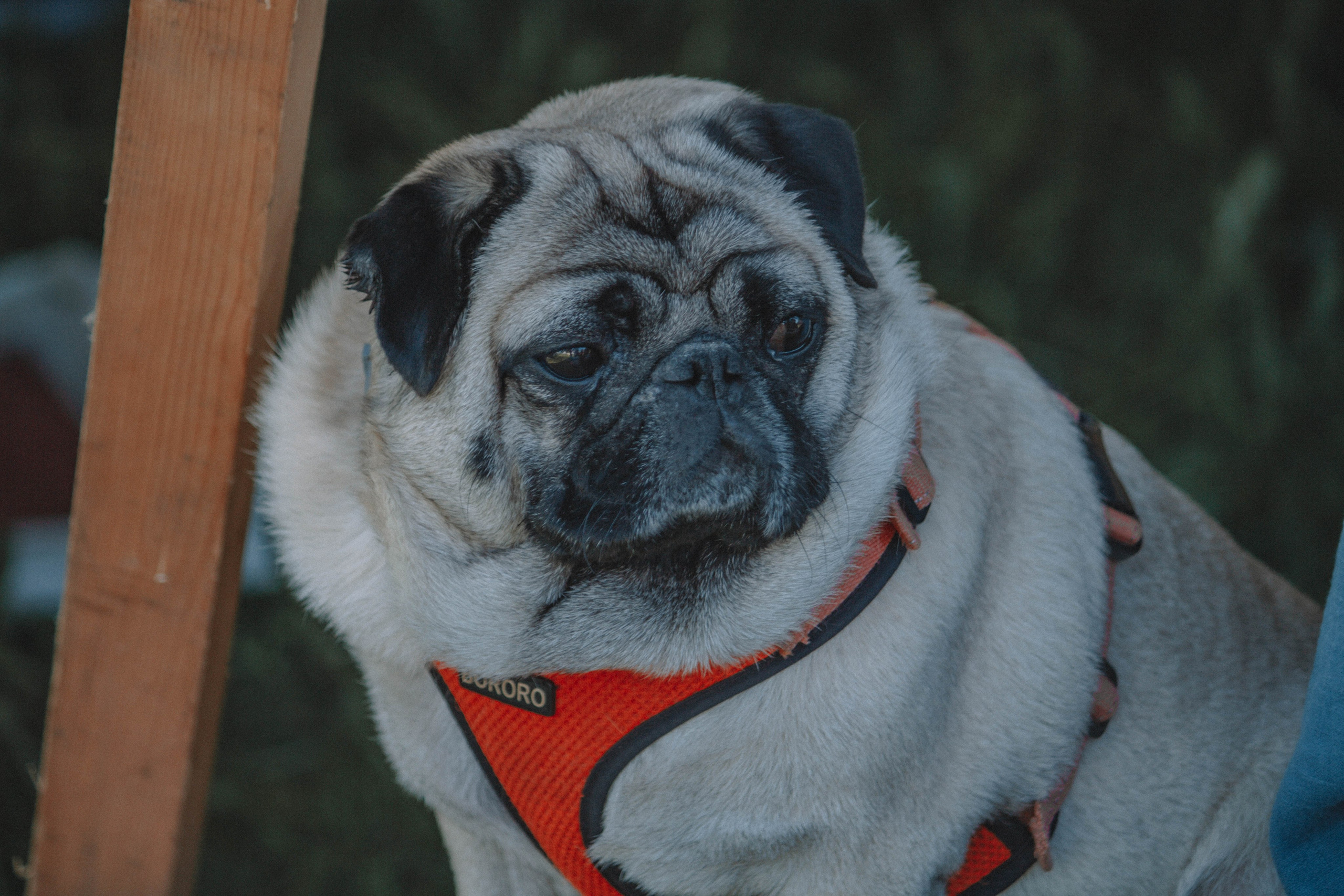 СТАРАЯ ЛАДОГА — Историко-культурный фестиваль. Создадим шедевр? Виталина и её фотоискусство