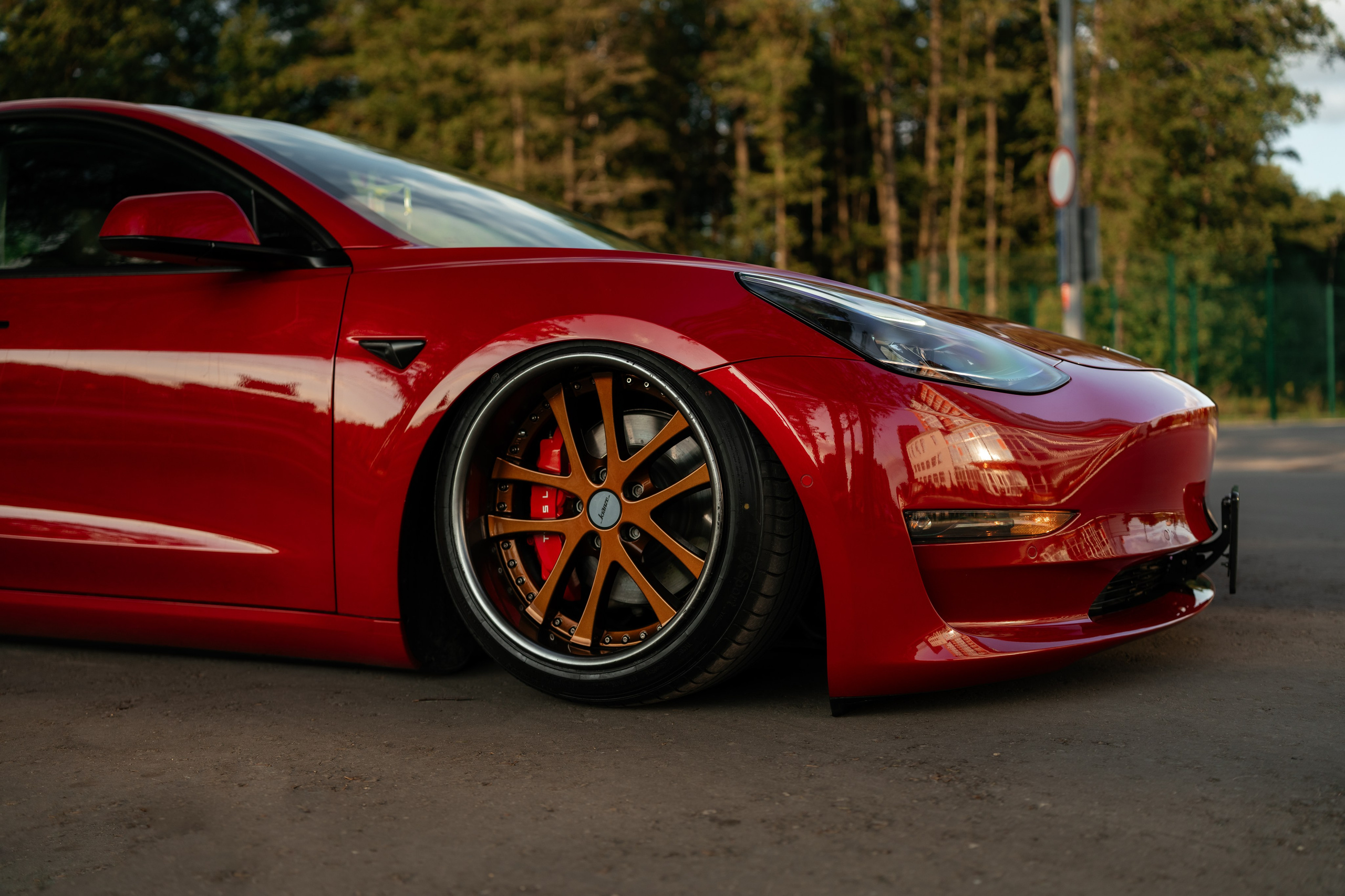 Tesla 3 Stance. Vlad Trykov