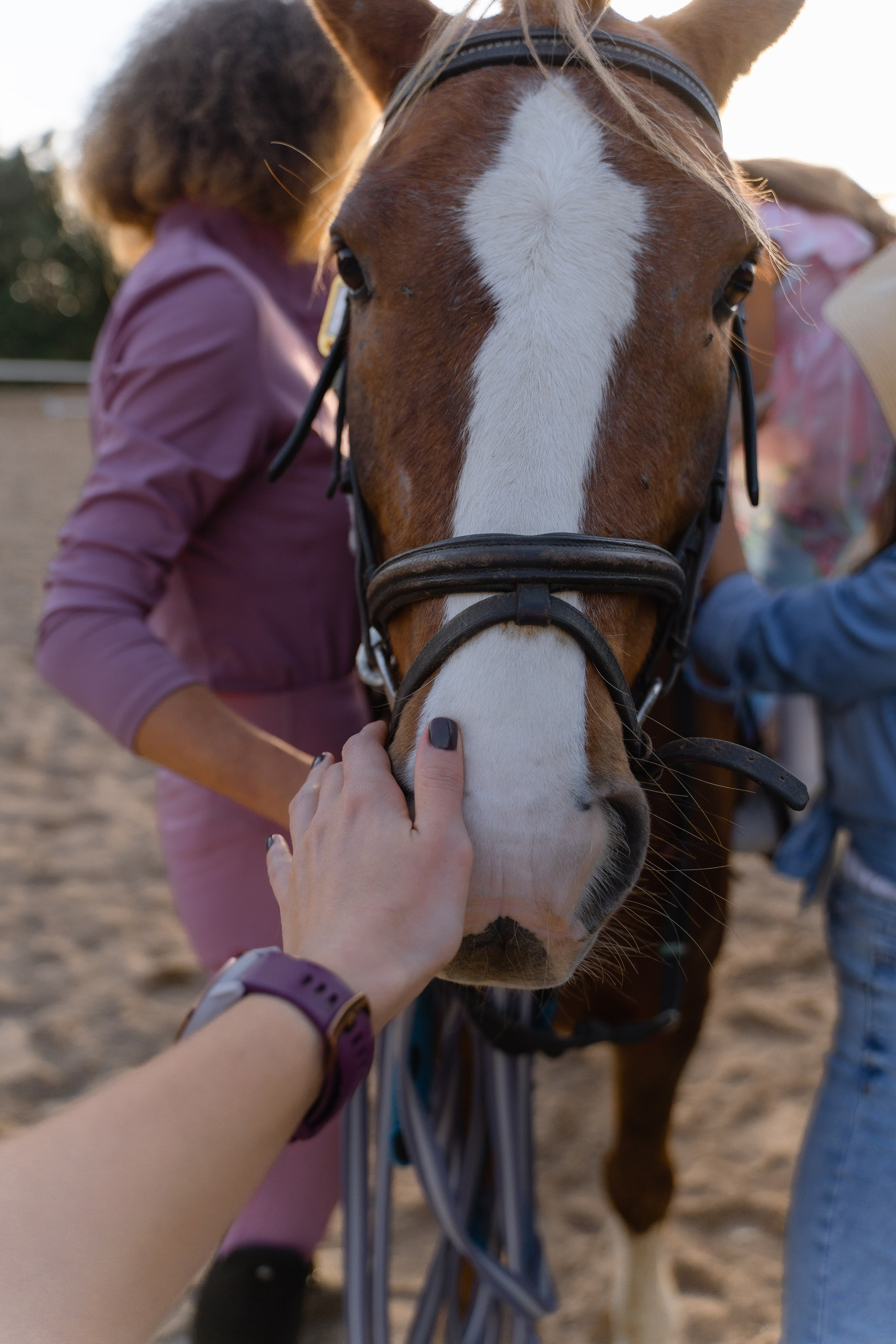 День Рождение Виктории на ранчо. Свадебный и семейный фотограф Ирина Чернова