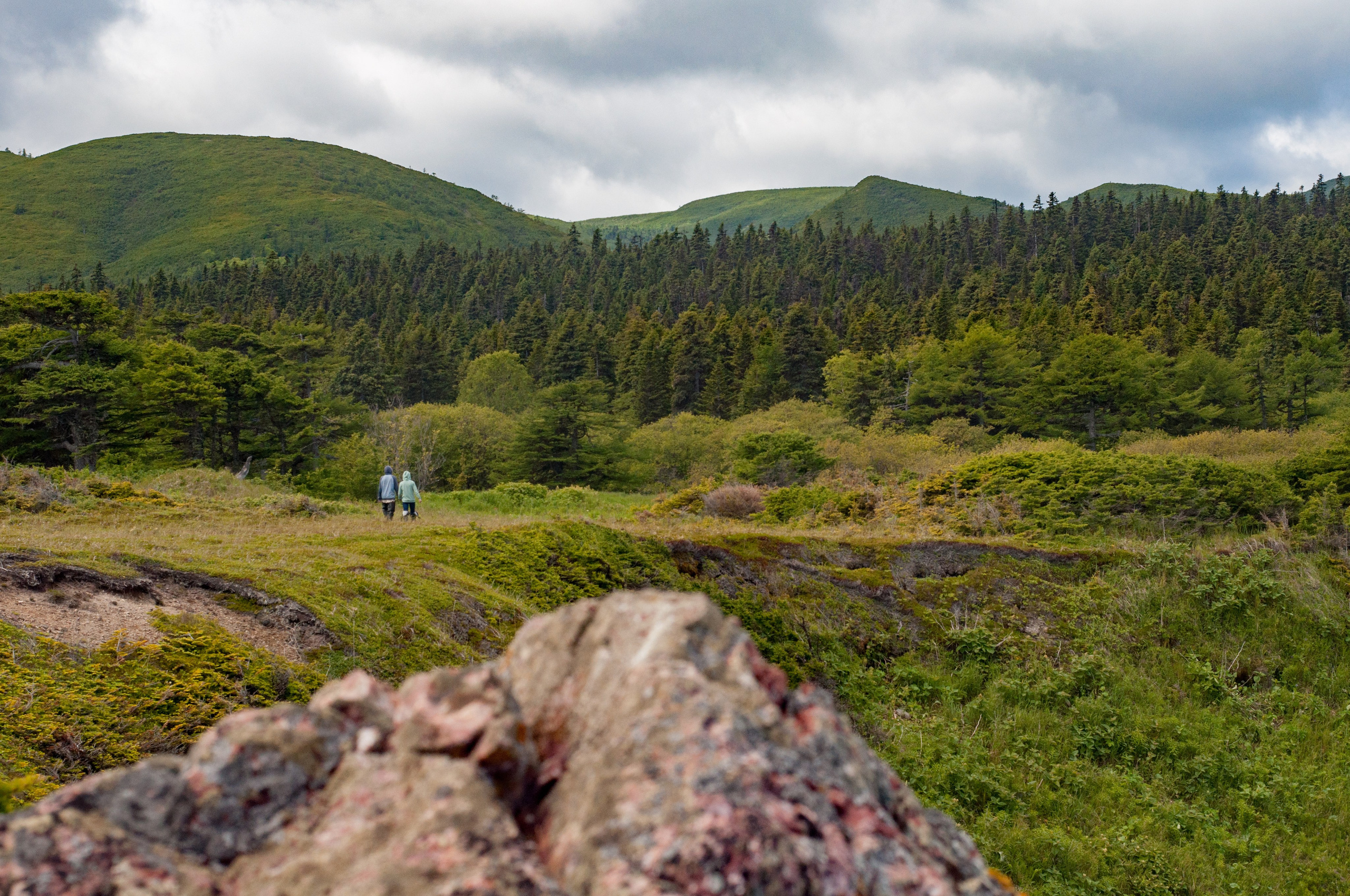 Природа. Фотограф Шариков Илья