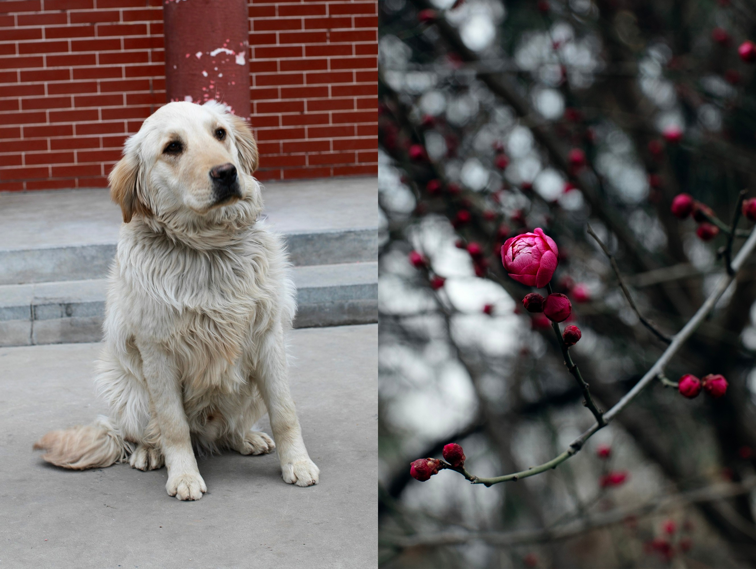 Китай'25: Пекин-Сиань-Шанхай. Фотограф-портретист в Москве