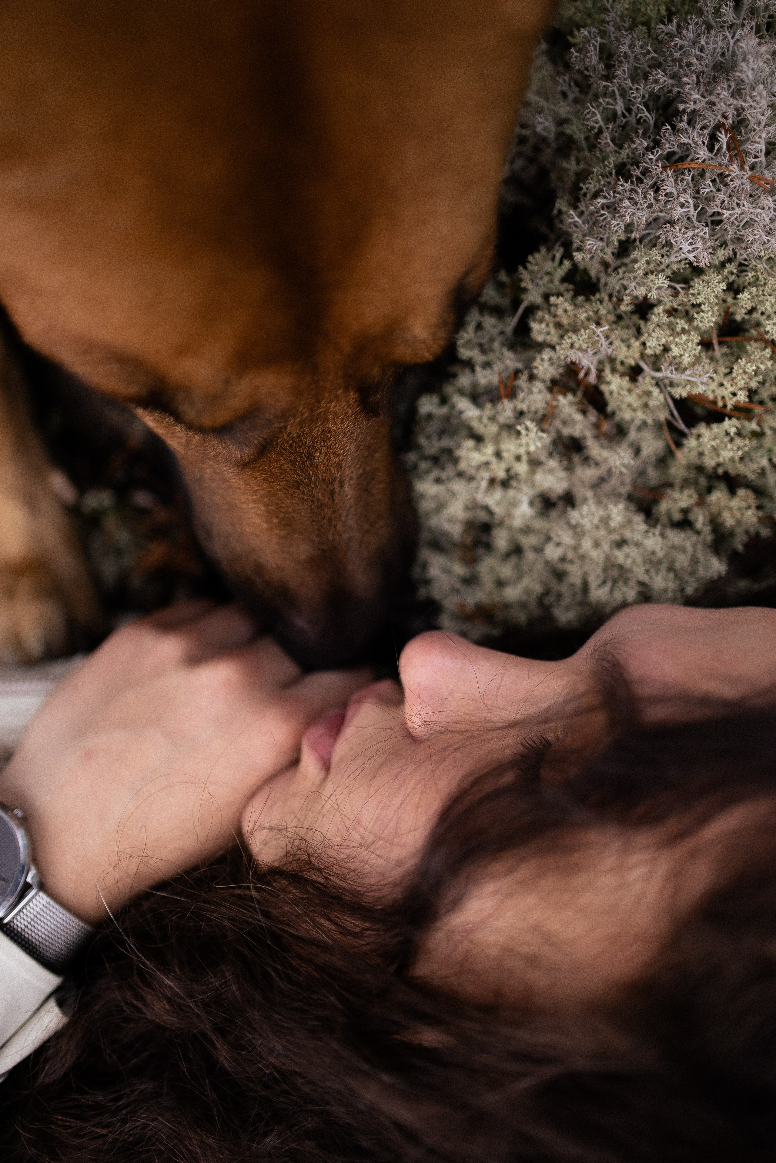 Karelia. Фотограф и видеограф анималист Аганина Дарья