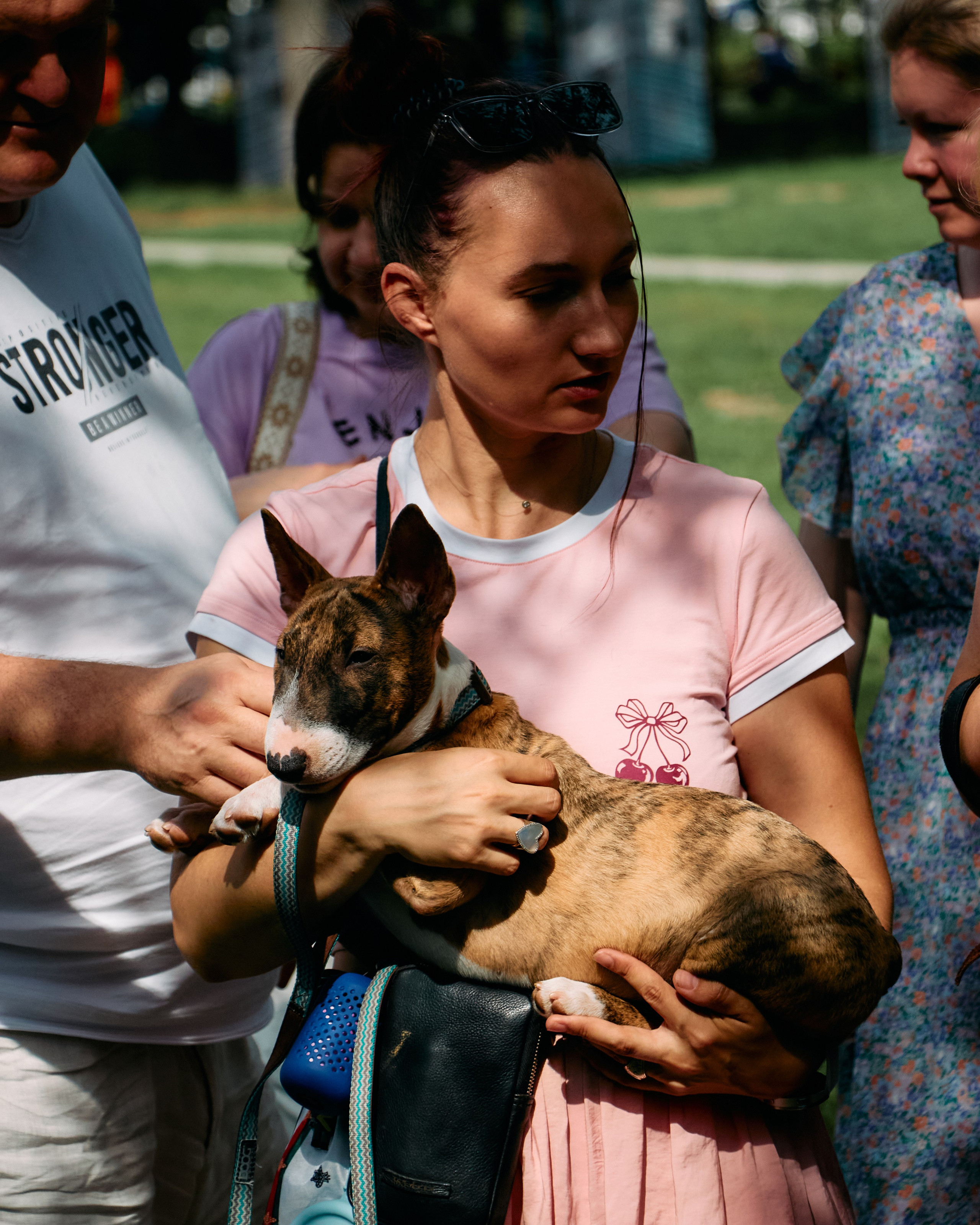 Бульфест. Фотограф домашних животных в Москве | Данил Сорокин
