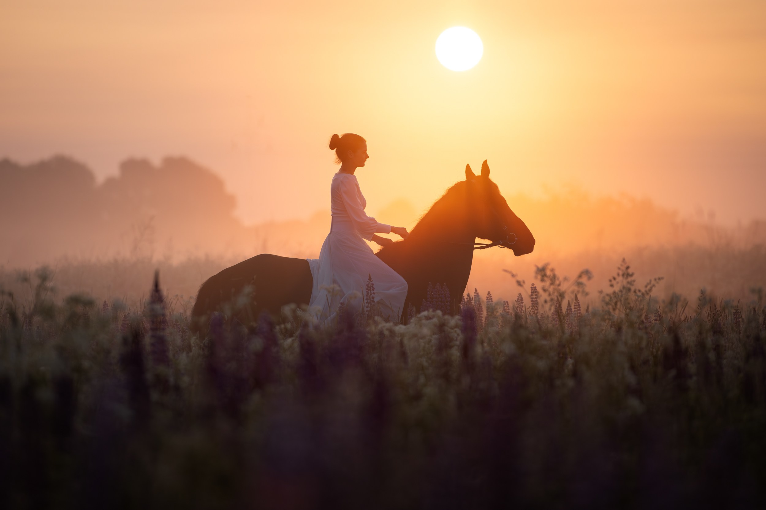 Съёмки с лошадьми. ESHE_PHOTO Фотограф анималист в Москве и Московской области