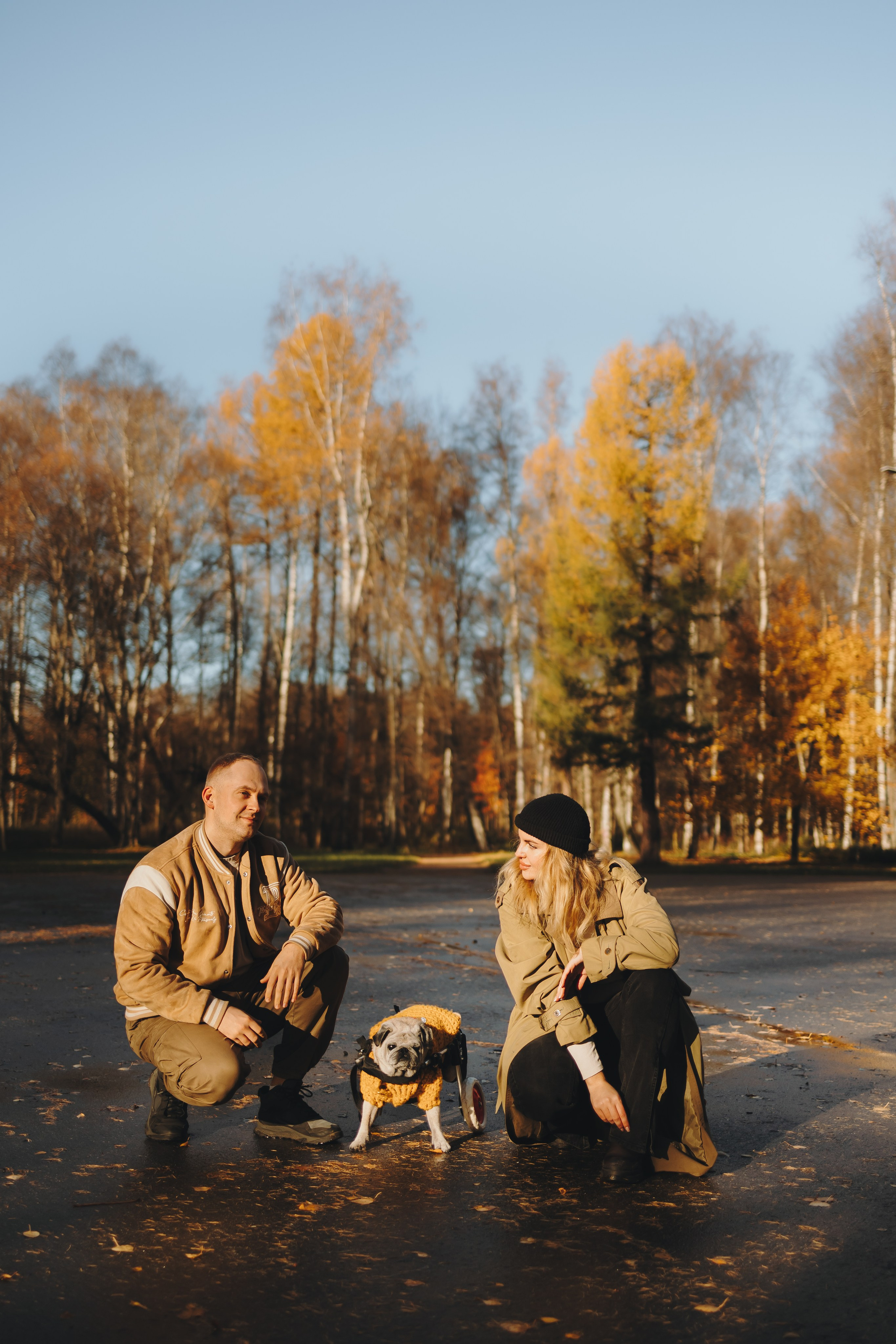 Габи и ребята. Фотограф-анималист в Санкт-Петербурге Алина Яхонт