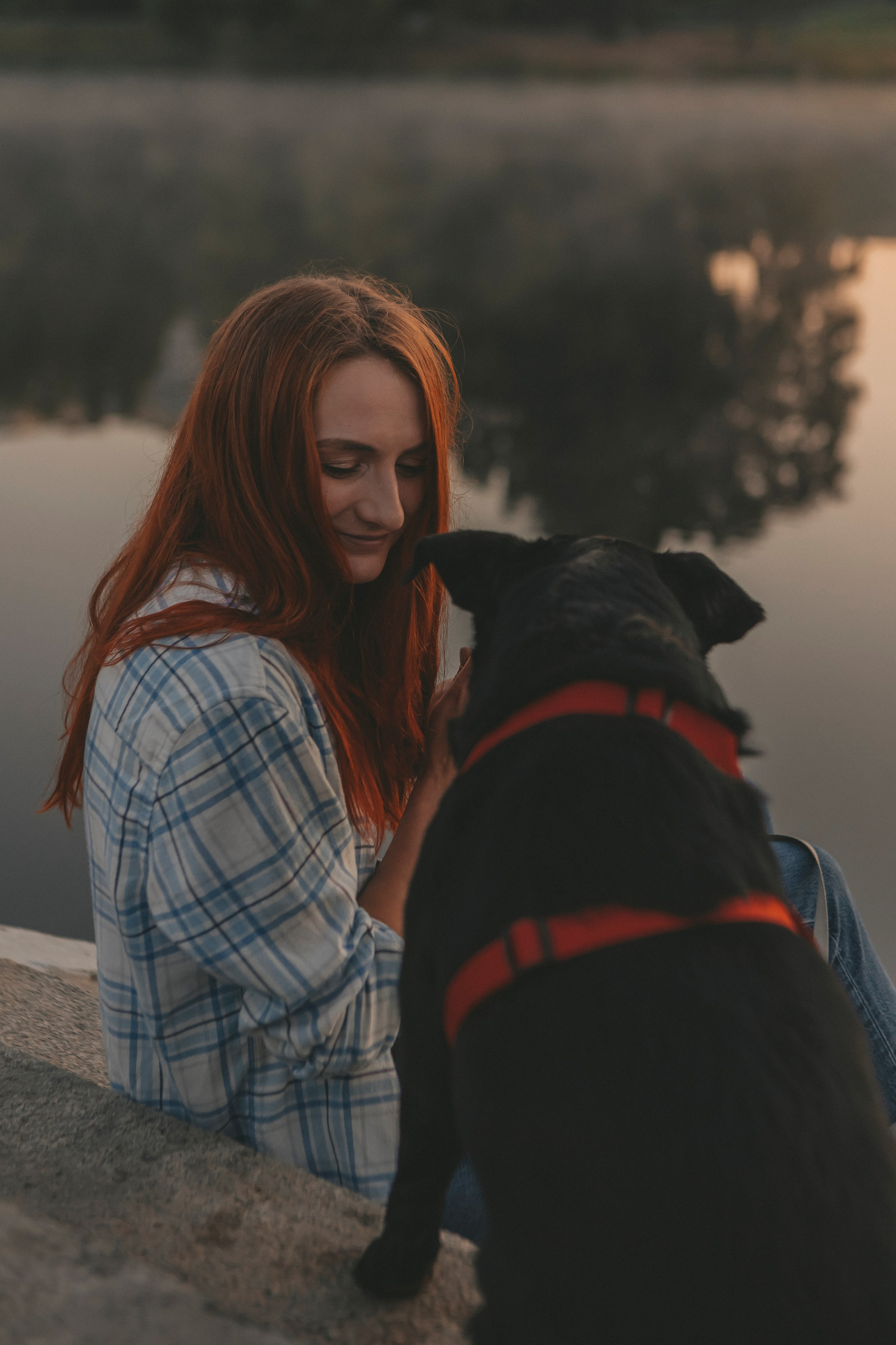 Саша и Дана. Фотограф-анималист в Санкт-Петербурге Алина Яхонт