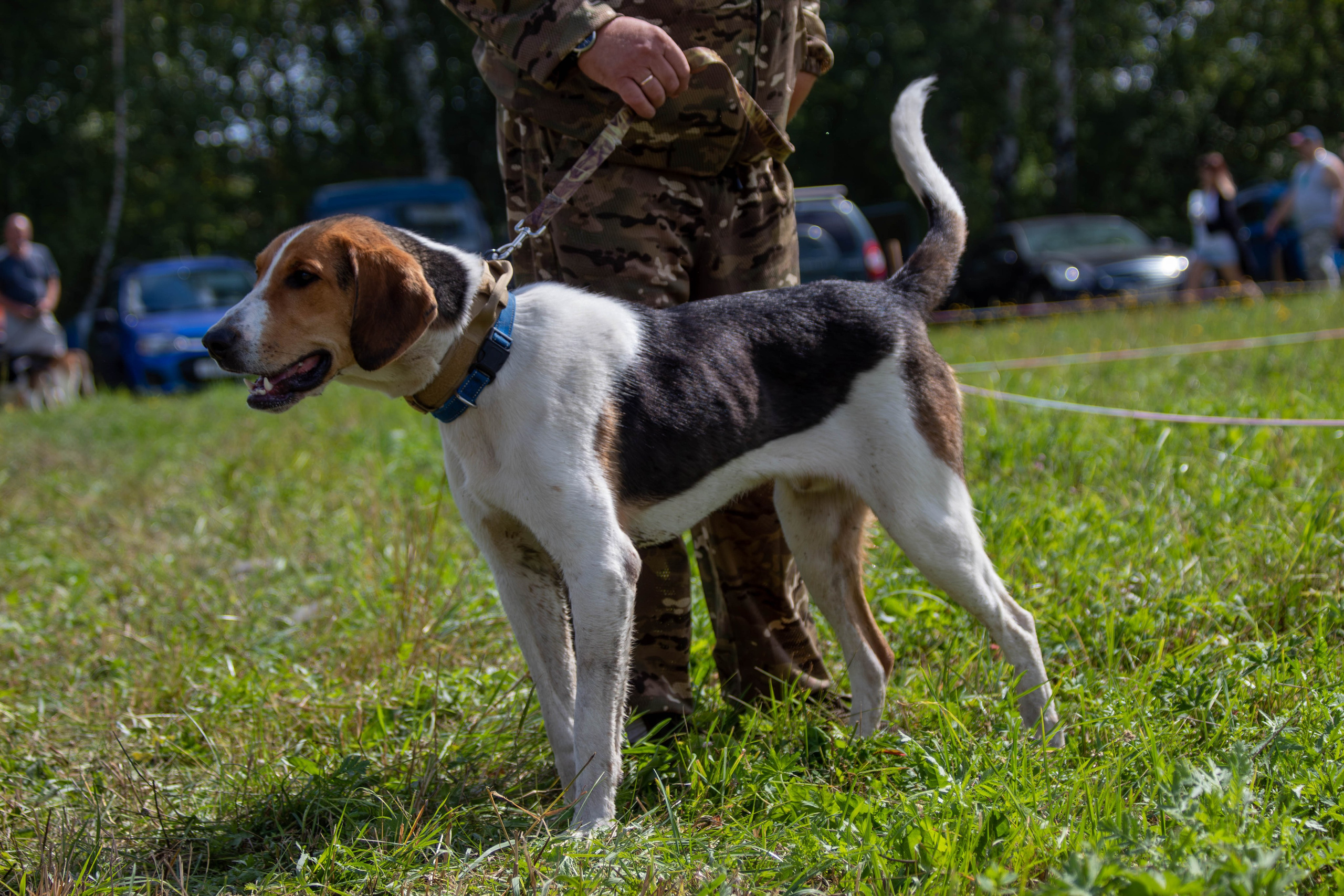 Репортажная съемка в Туле. Фотограф анималист — Тула, Москва