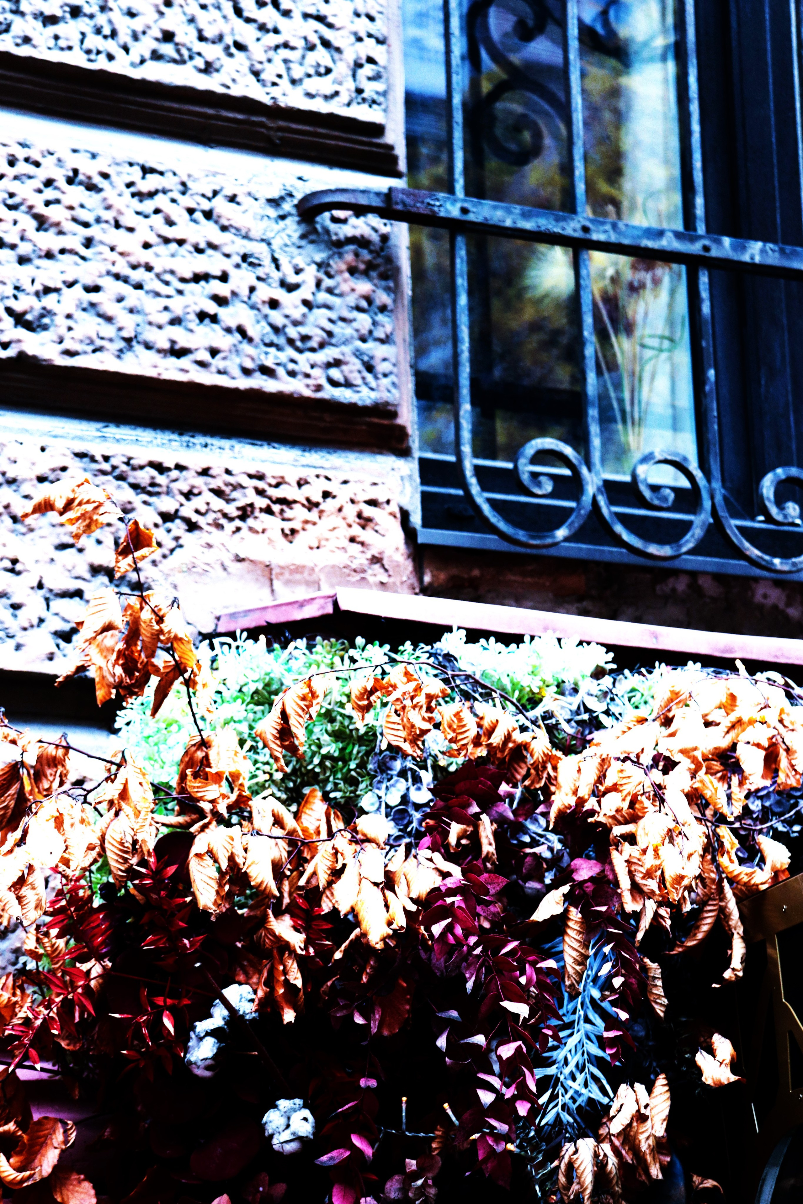 Riga. Juliarubis.com