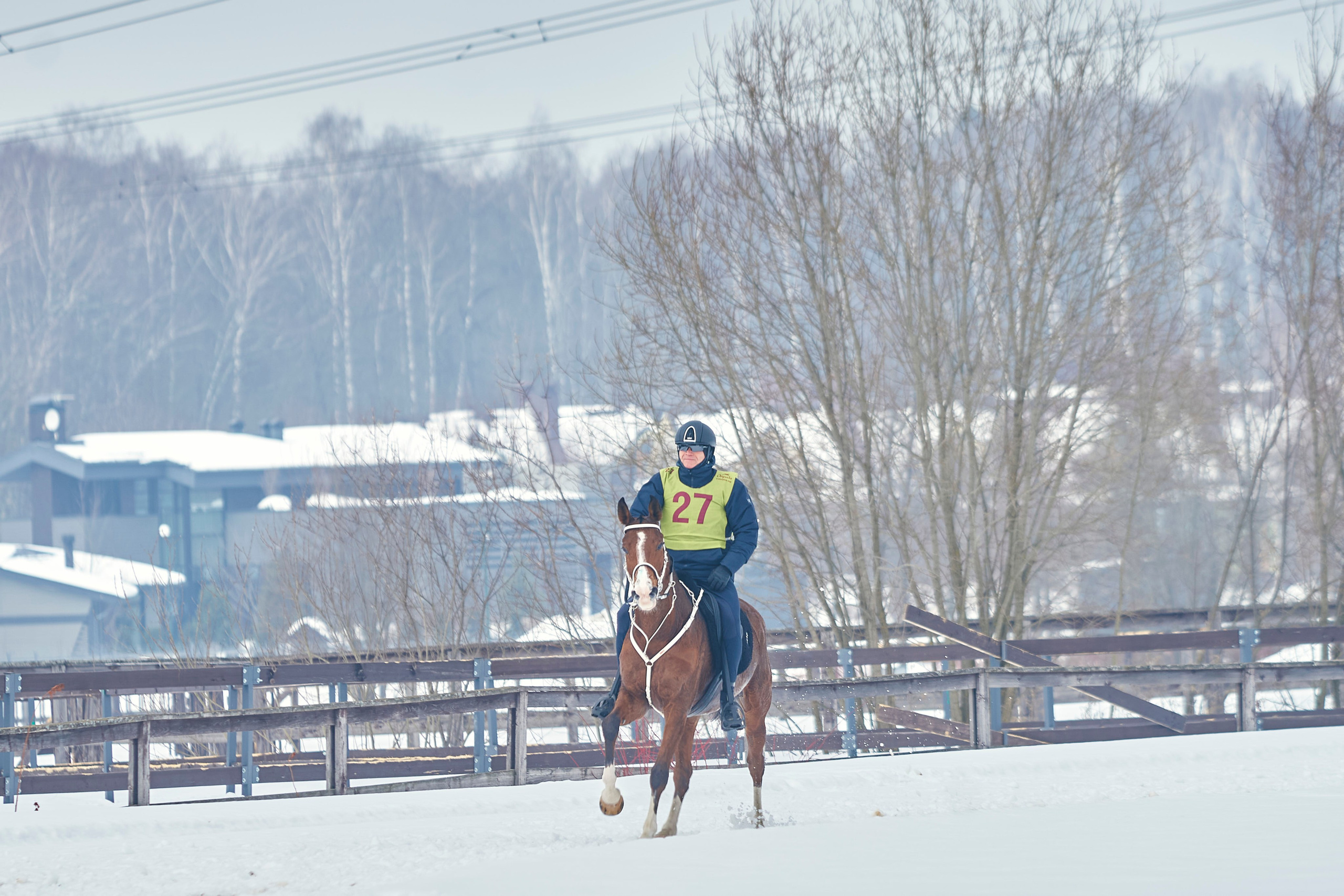 HORSE RACING. Фотограф Наталья Леонова