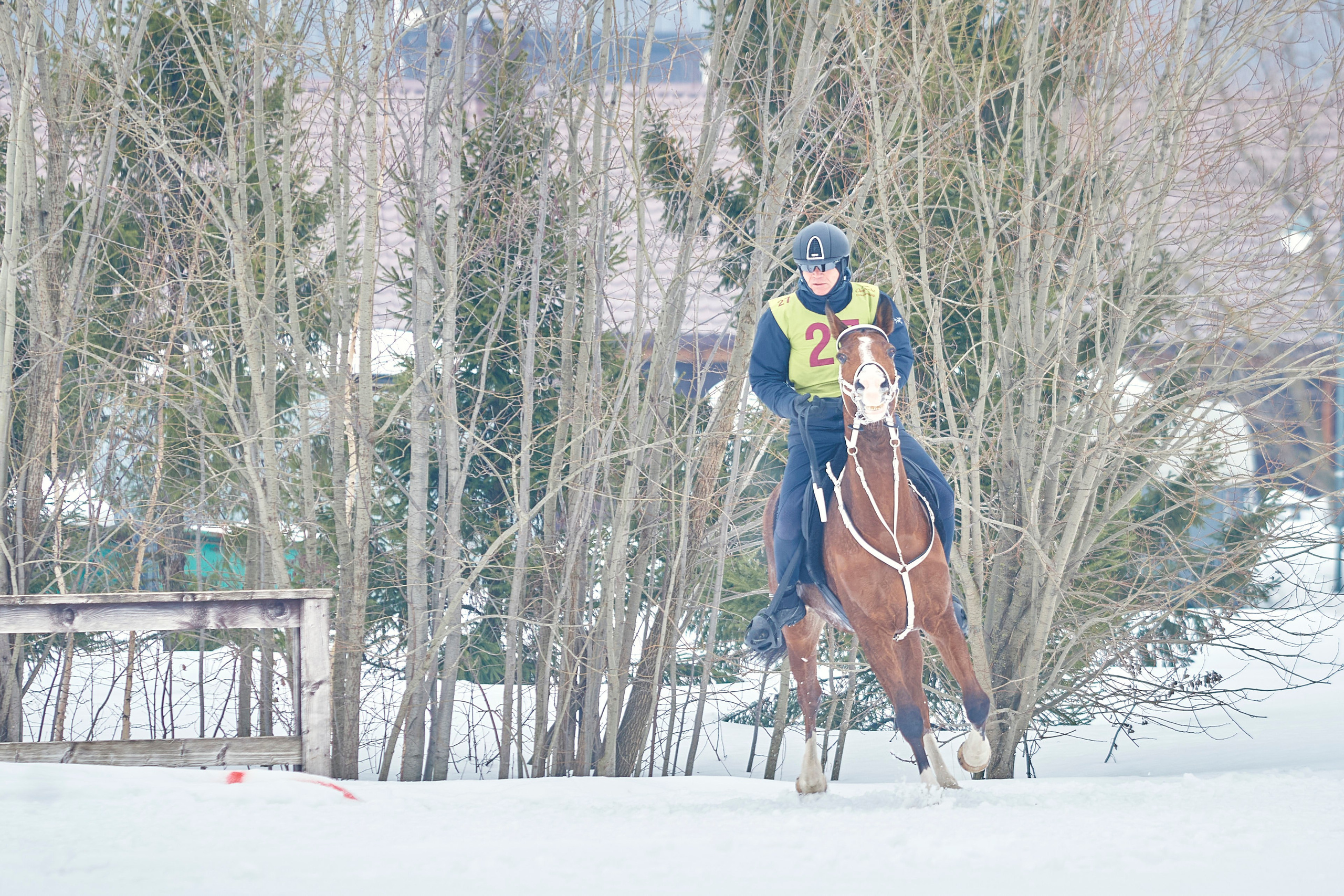 HORSE RACING. Фотограф Наталья Леонова
