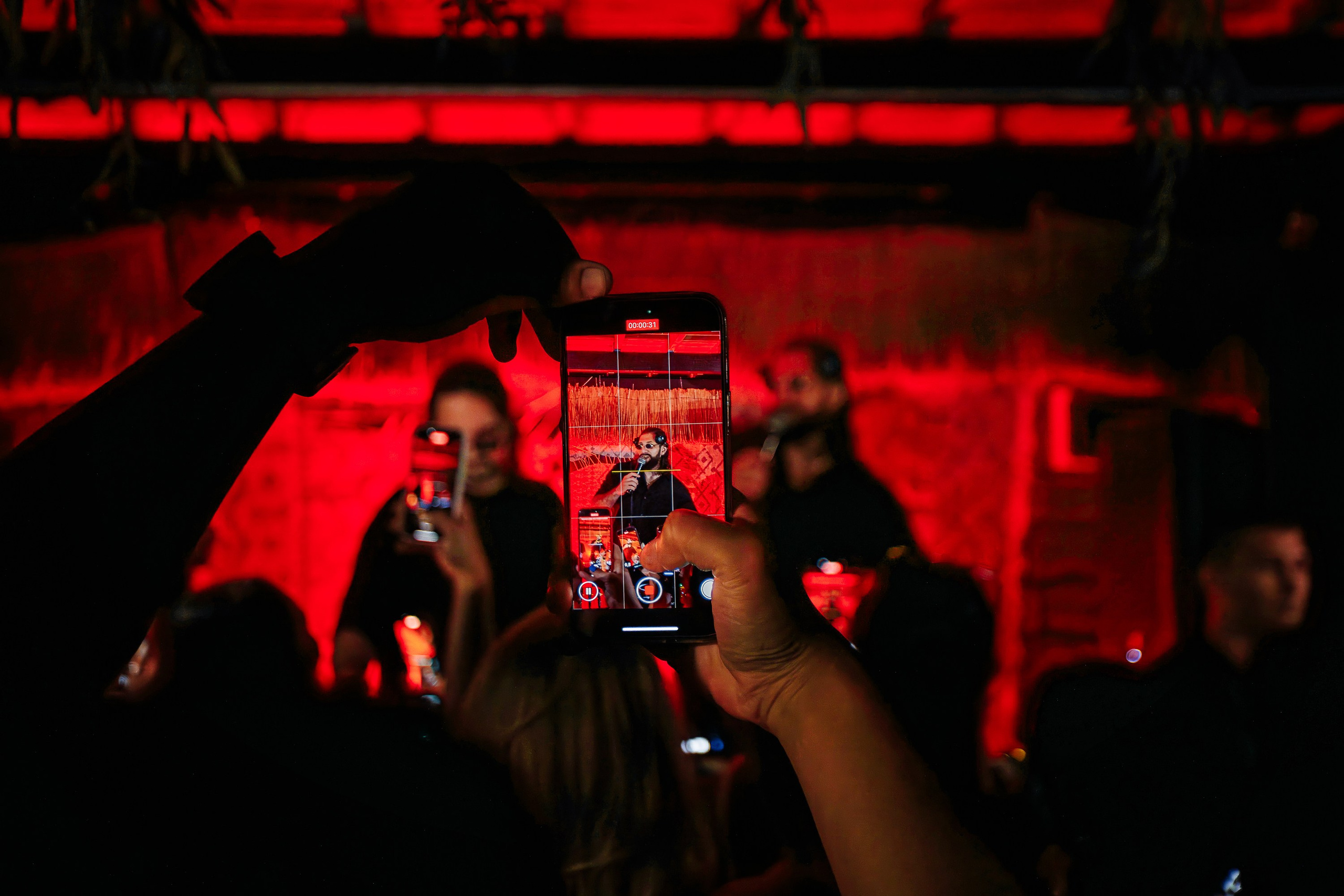 «Karena Makarena"_Чайка на пляже_ Ялта_6.06.2025 г. Аминов Руслан | Фотограф