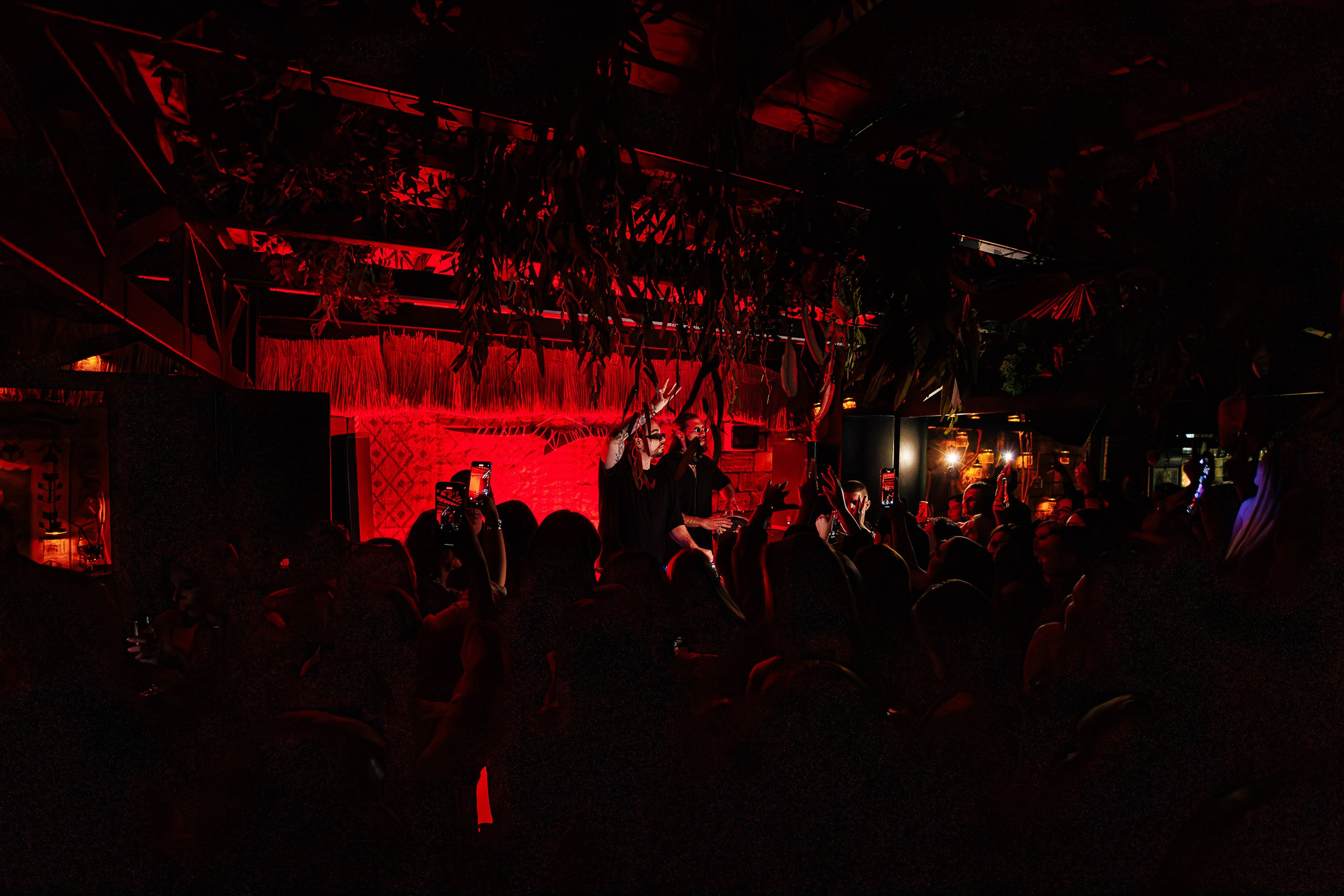 «Karena Makarena"_Чайка на пляже_ Ялта_6.06.2025 г. Аминов Руслан | Фотограф