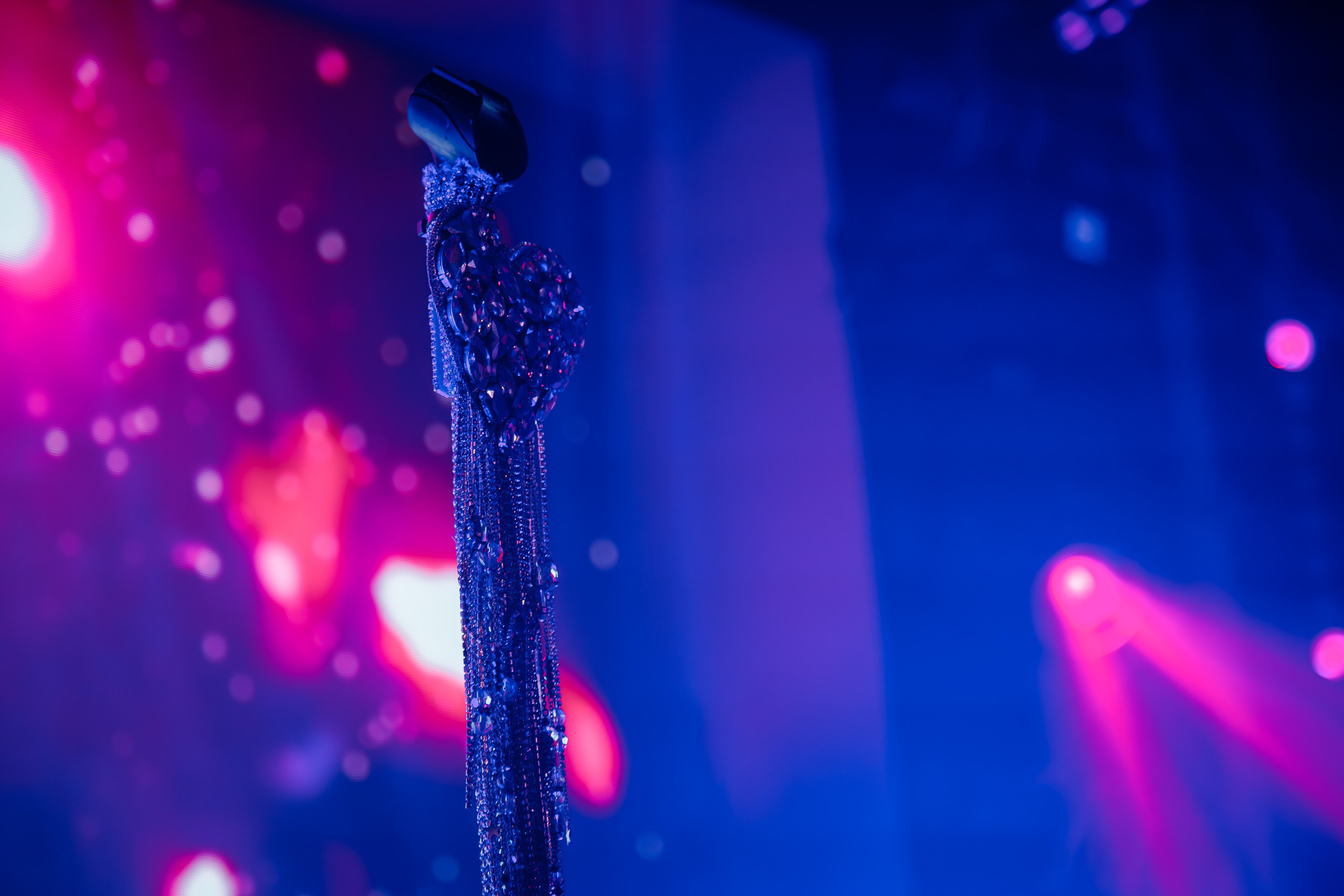 «Бьянка"_Чайка на пляже_Ялта_25.07.2025 г. Аминов Руслан | Фотограф