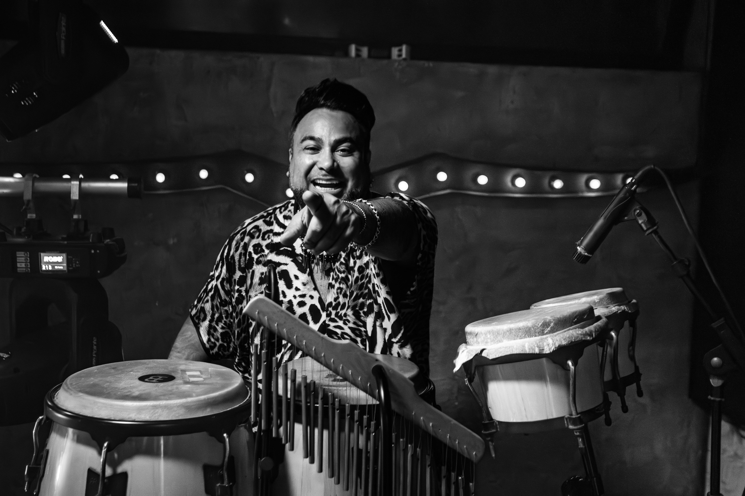 «LIZWI"_Чайка на пляже_Ялта_7.06.2025. Аминов Руслан | Фотограф