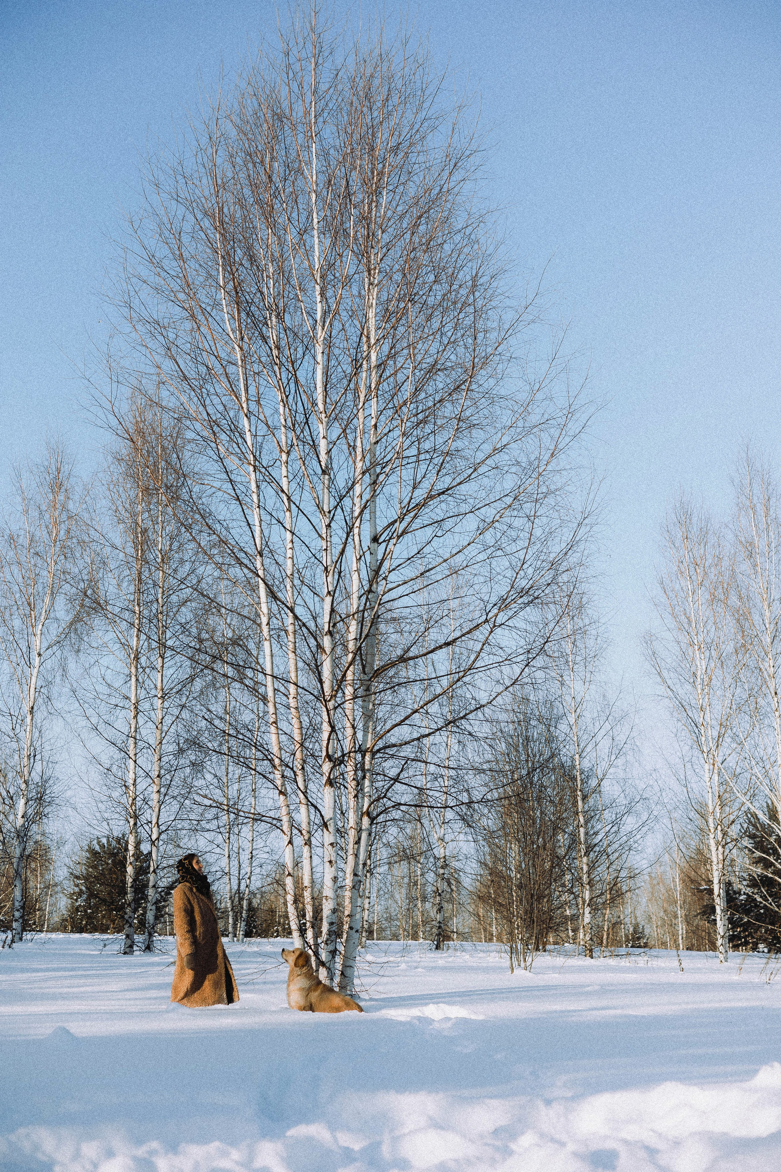 Лена и Декстер. Фотограф-анималист Богданова Полина