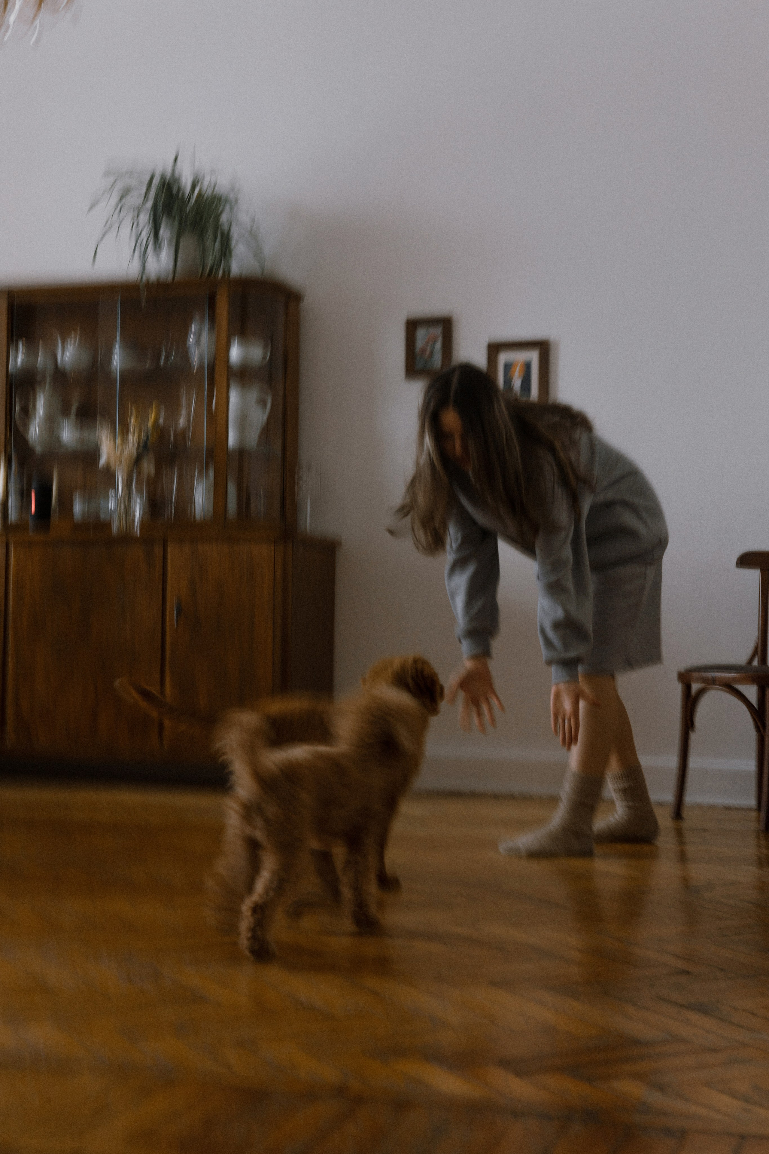 Маша, Одди и Нэвил. Фотограф-анималист Богданова Полина